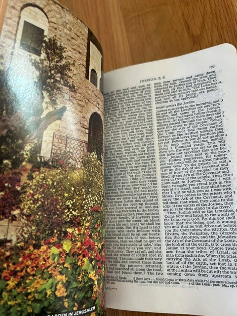 The New English Bible w BOX Illustrated 1st Collins World Ed-Faux Leather-UNREAD