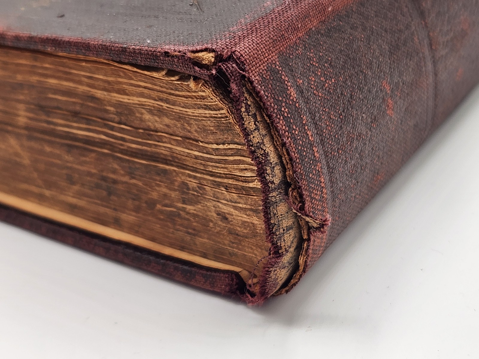 Antique 1902 Bijbel Amsterdam Dutch Netherlands Bible Old New Testament