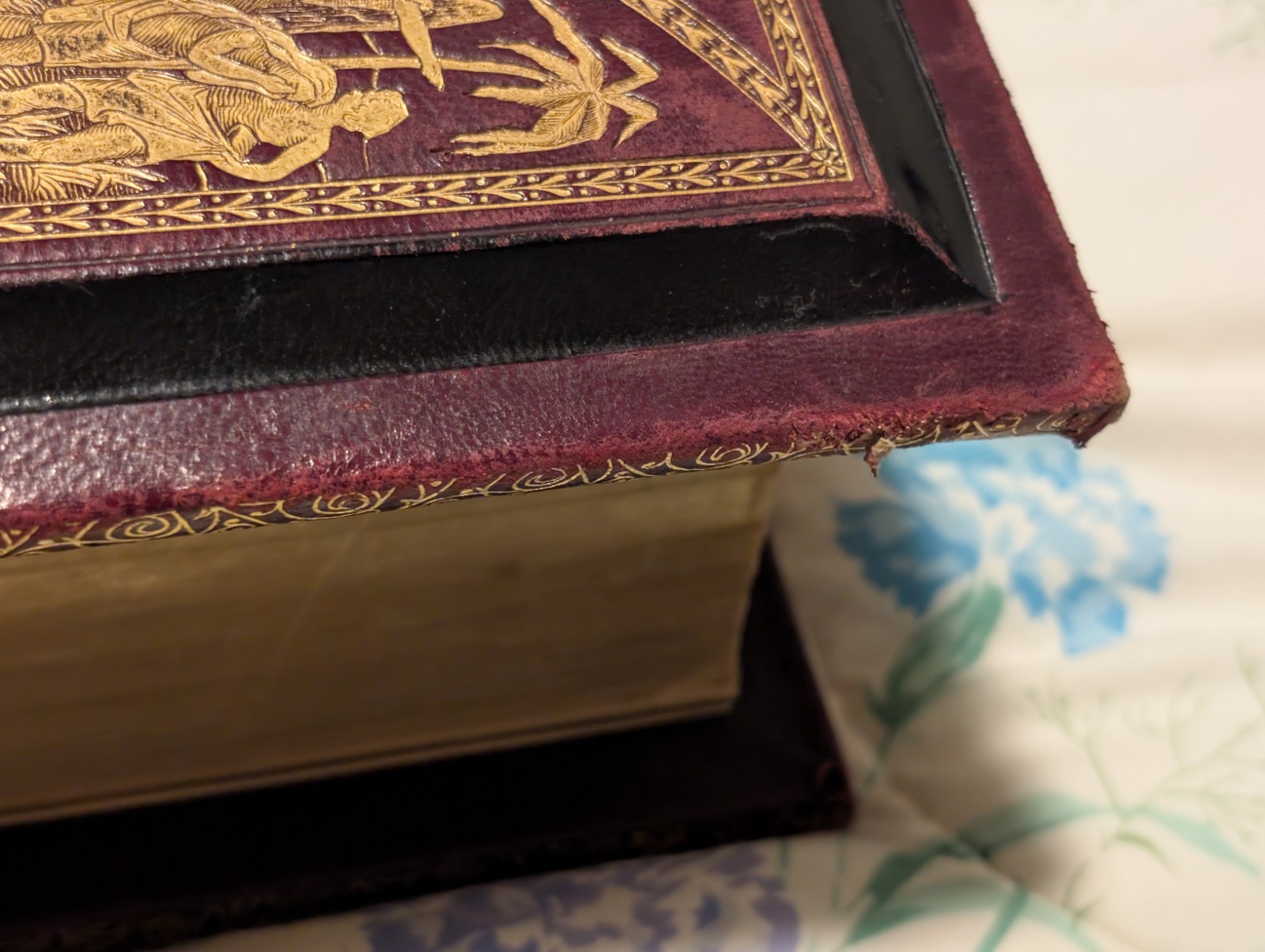 Rare Swedish Illustrated Bible–Den Heliga Skrift, 1880s H. M. Melin/Gustave Doré