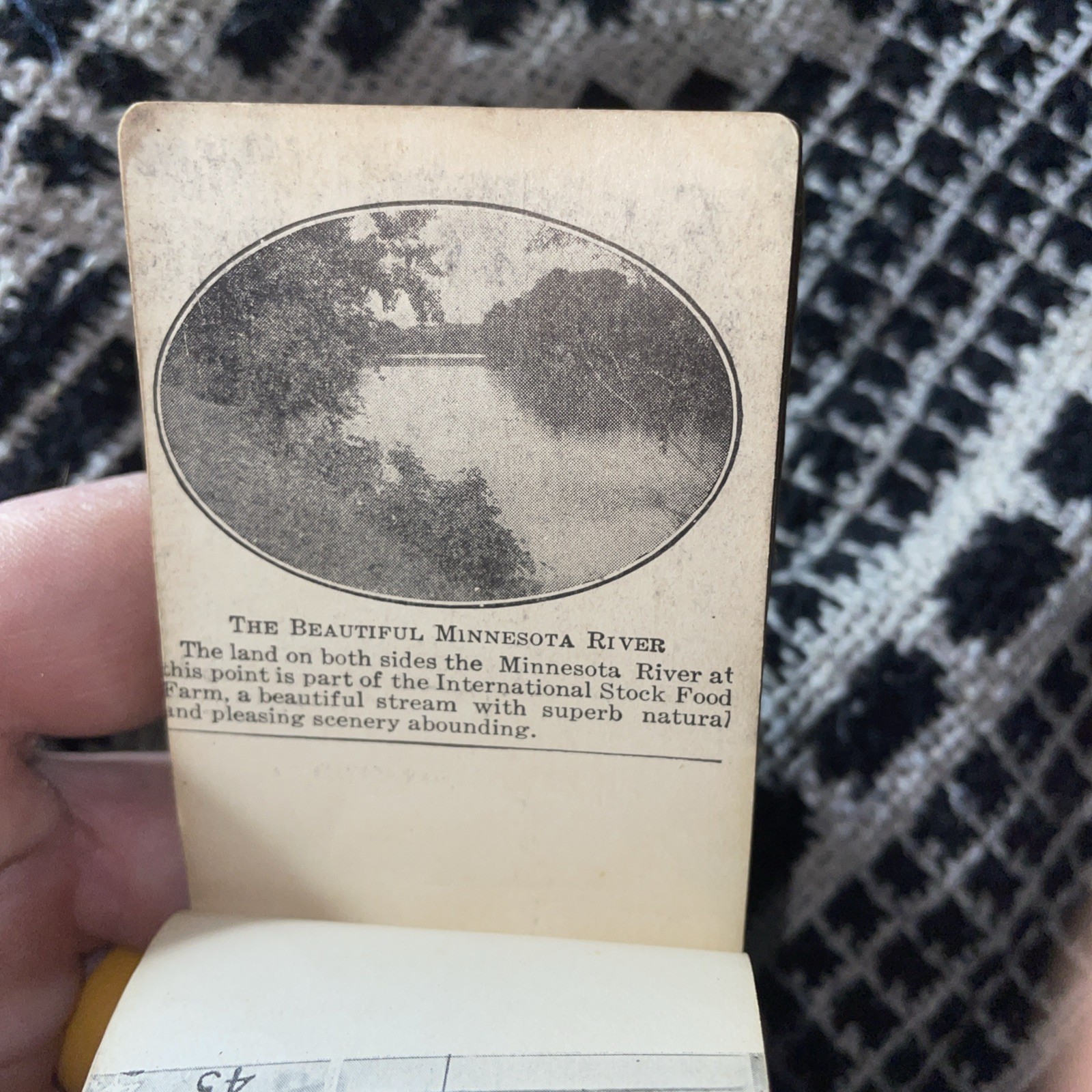 World’s Record Mile By Dan Patch 1.55 Moving Pictures 1909 Motion Flip Book Used