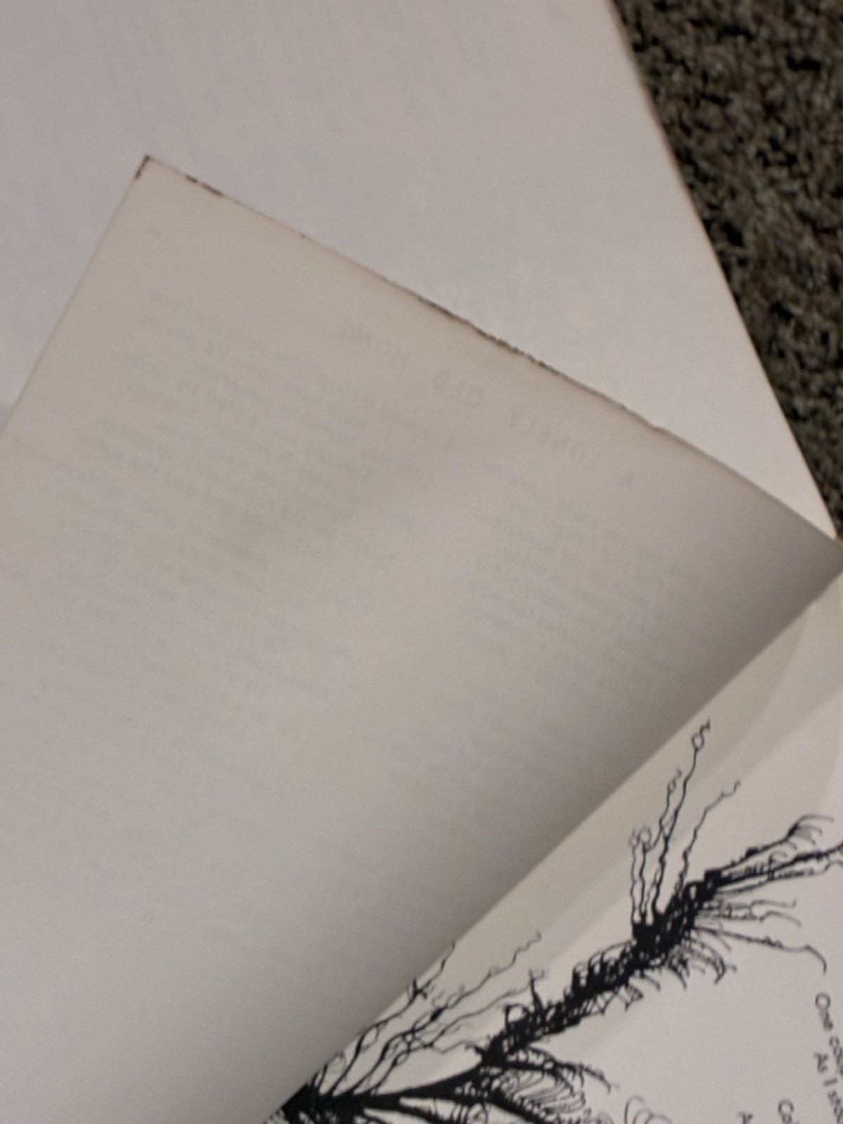 A Forest of Poems by Chambers 🔴 spiral bound book illustrated Vintage 1970