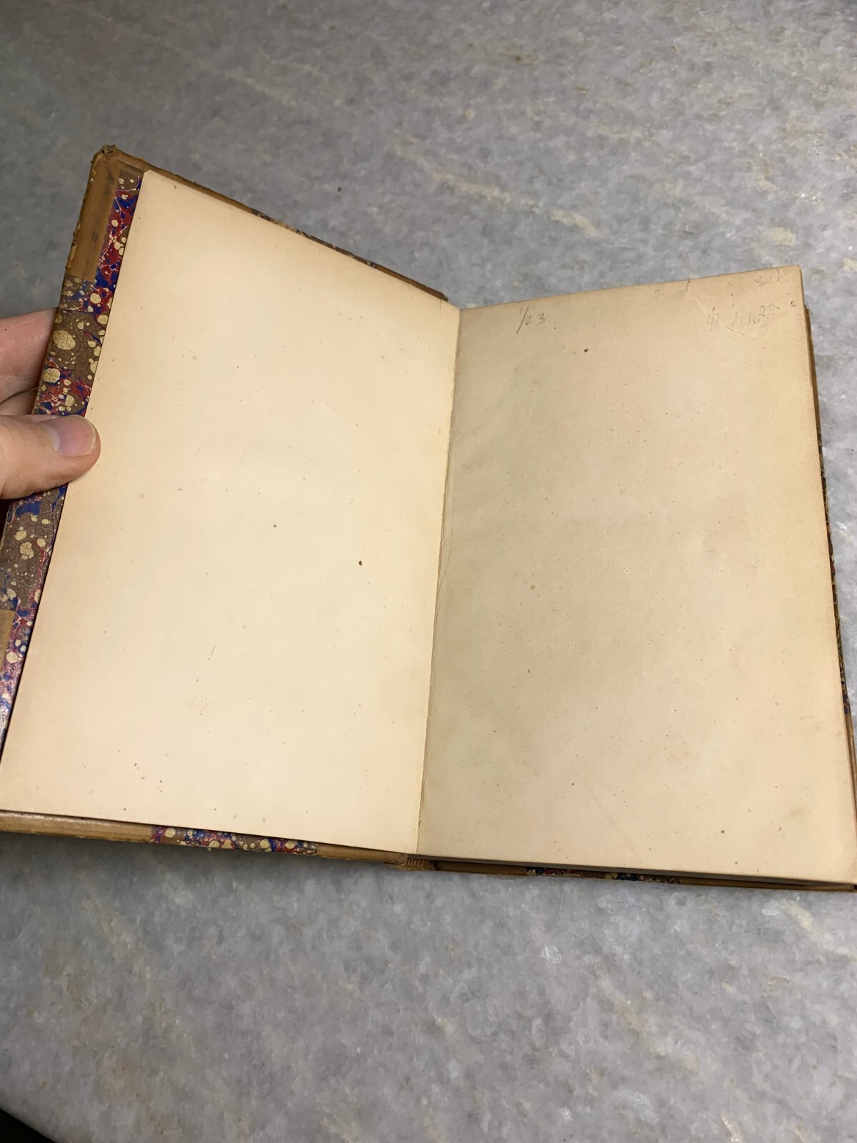 Antique Life Michael Angelo GRIMM Victorian Book Embossed Leather Little Brown