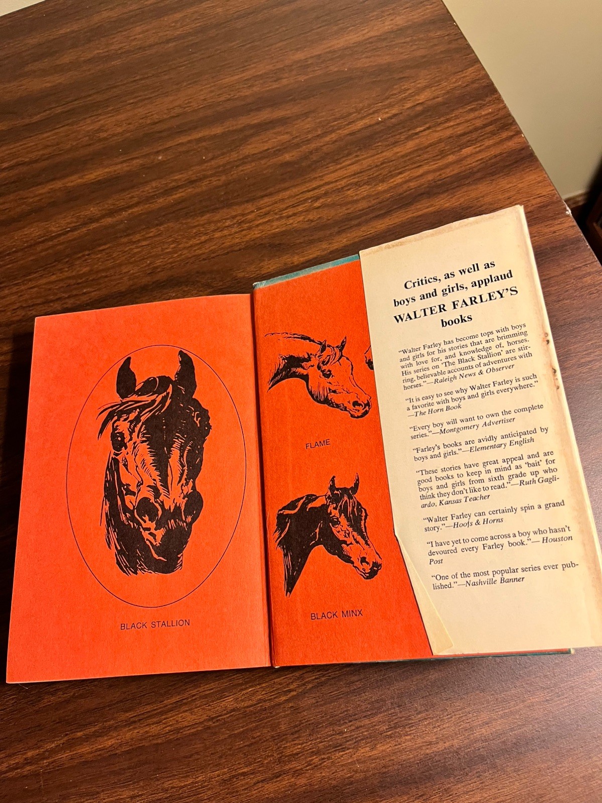 THE BLACK STALLION’S FILLY by Walter Farley, believed 1st edition 1952