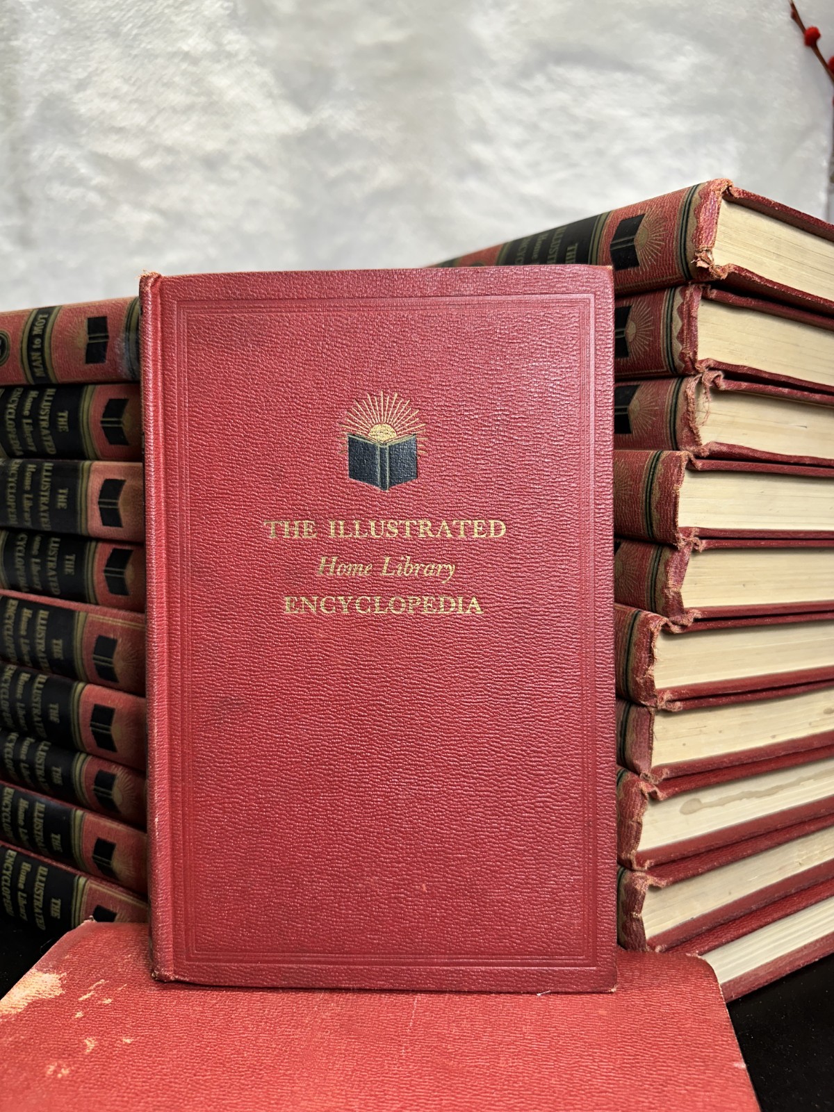 The Illustrated Home Library Encyclopedia Set Vintage (1958) Volume #19 Missing