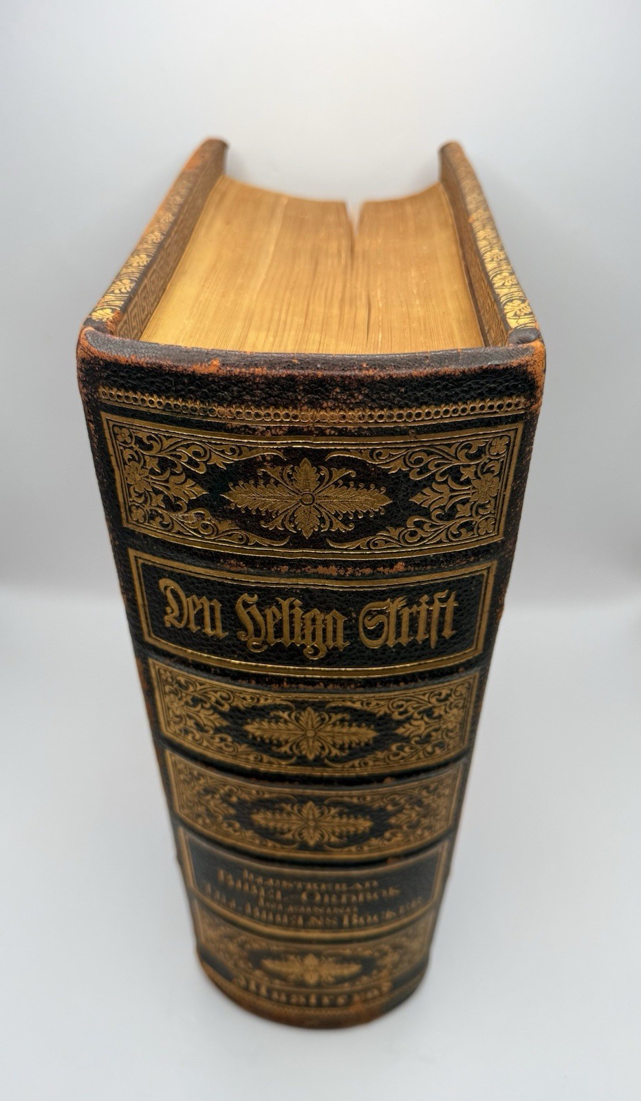 Antique Swedish Family Bible Gustave Dore Illustrated Family Records -1890