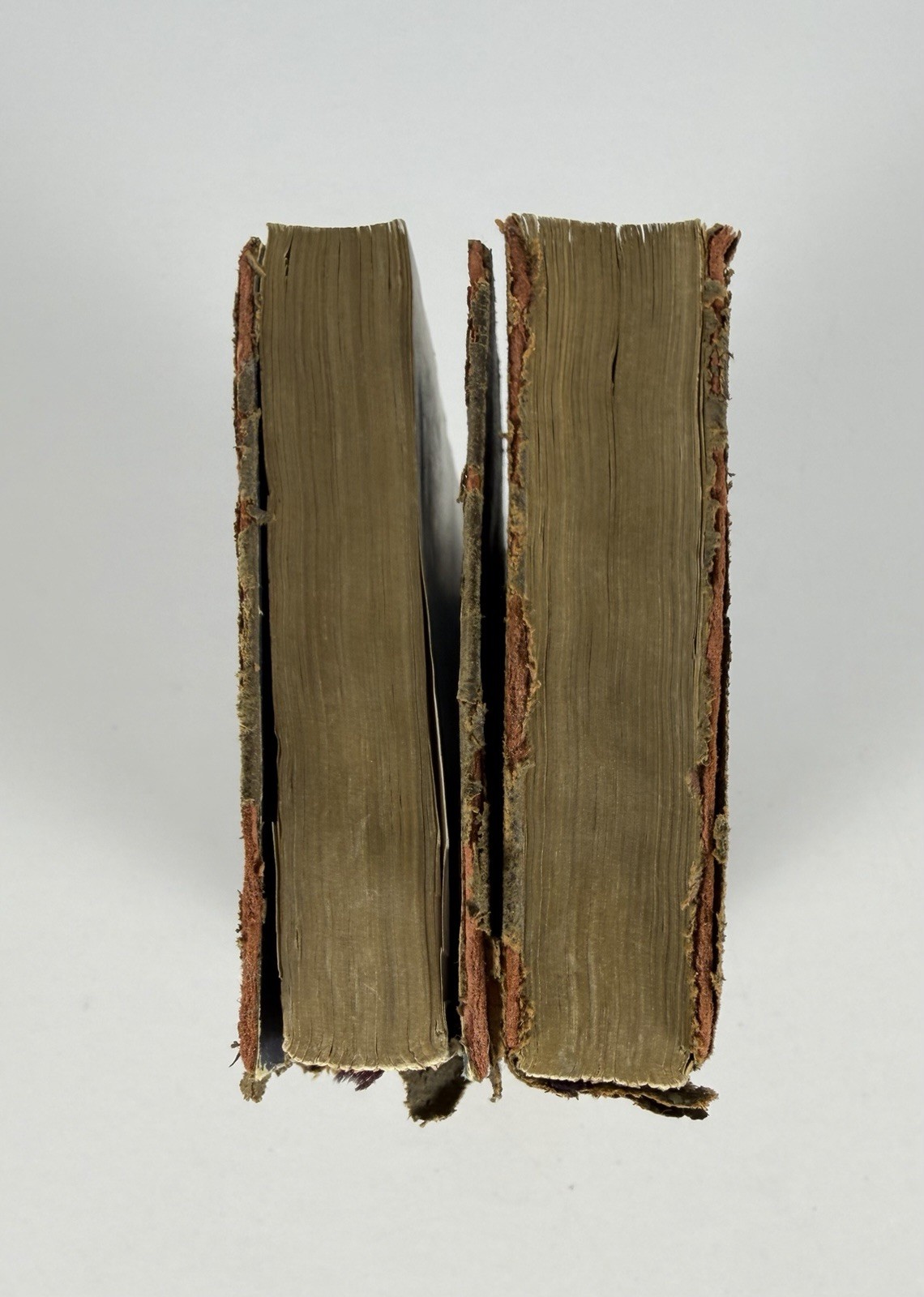 Thomas Nelson Alexandre Dumas Count of Monte Cristo Vol I and II Leather