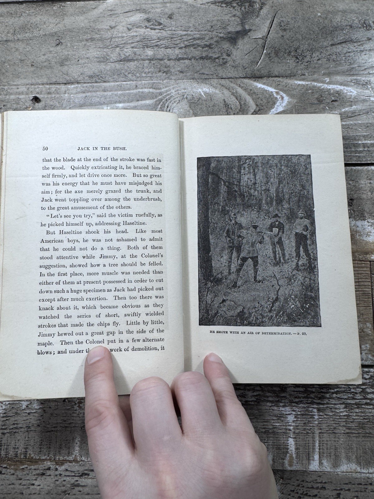1892 Antique Juvenile Fiction “Jack in the Bush” Illustrated