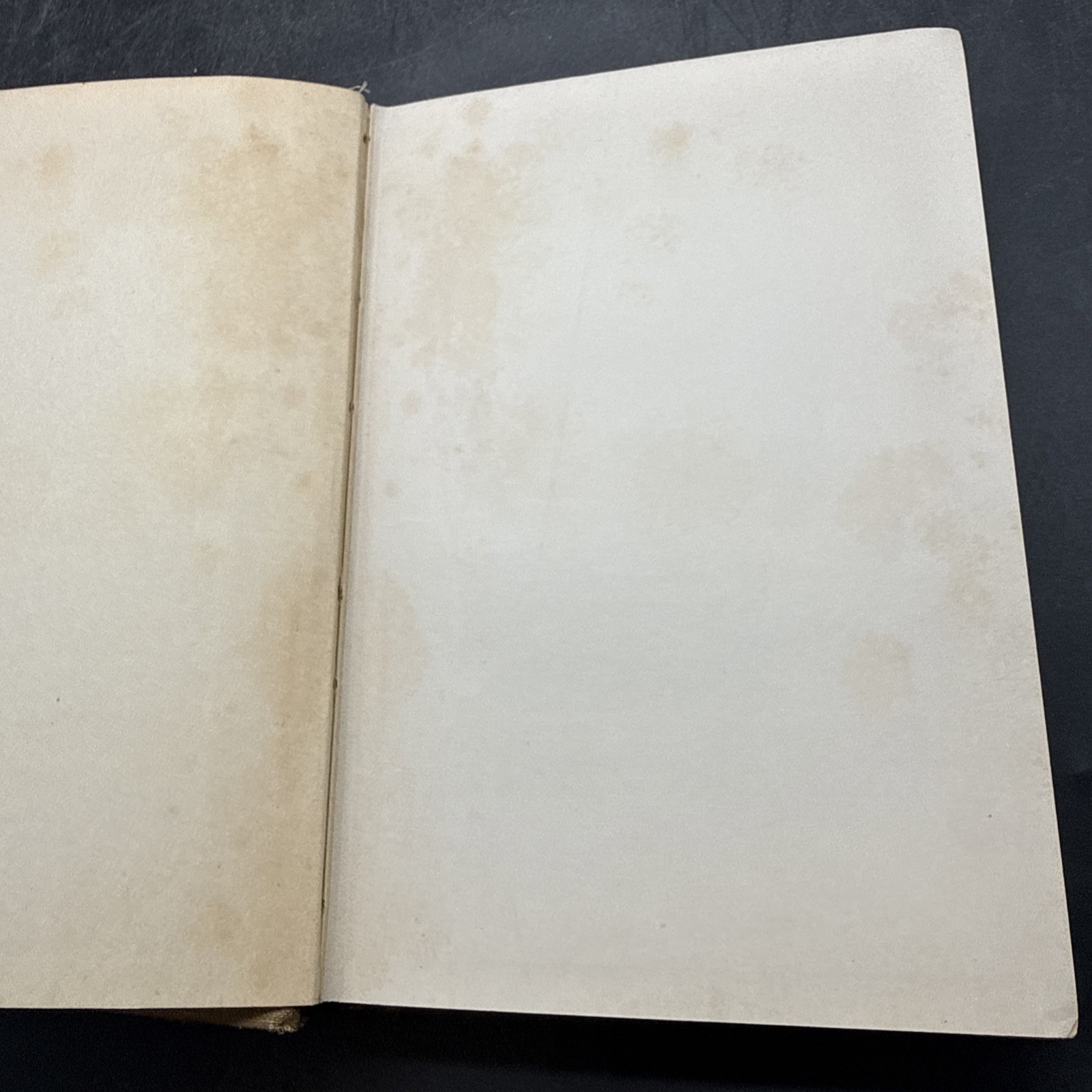 MY COMPANY by Captain Carroll Swan 1918 First Edition WWI Military 26th Division