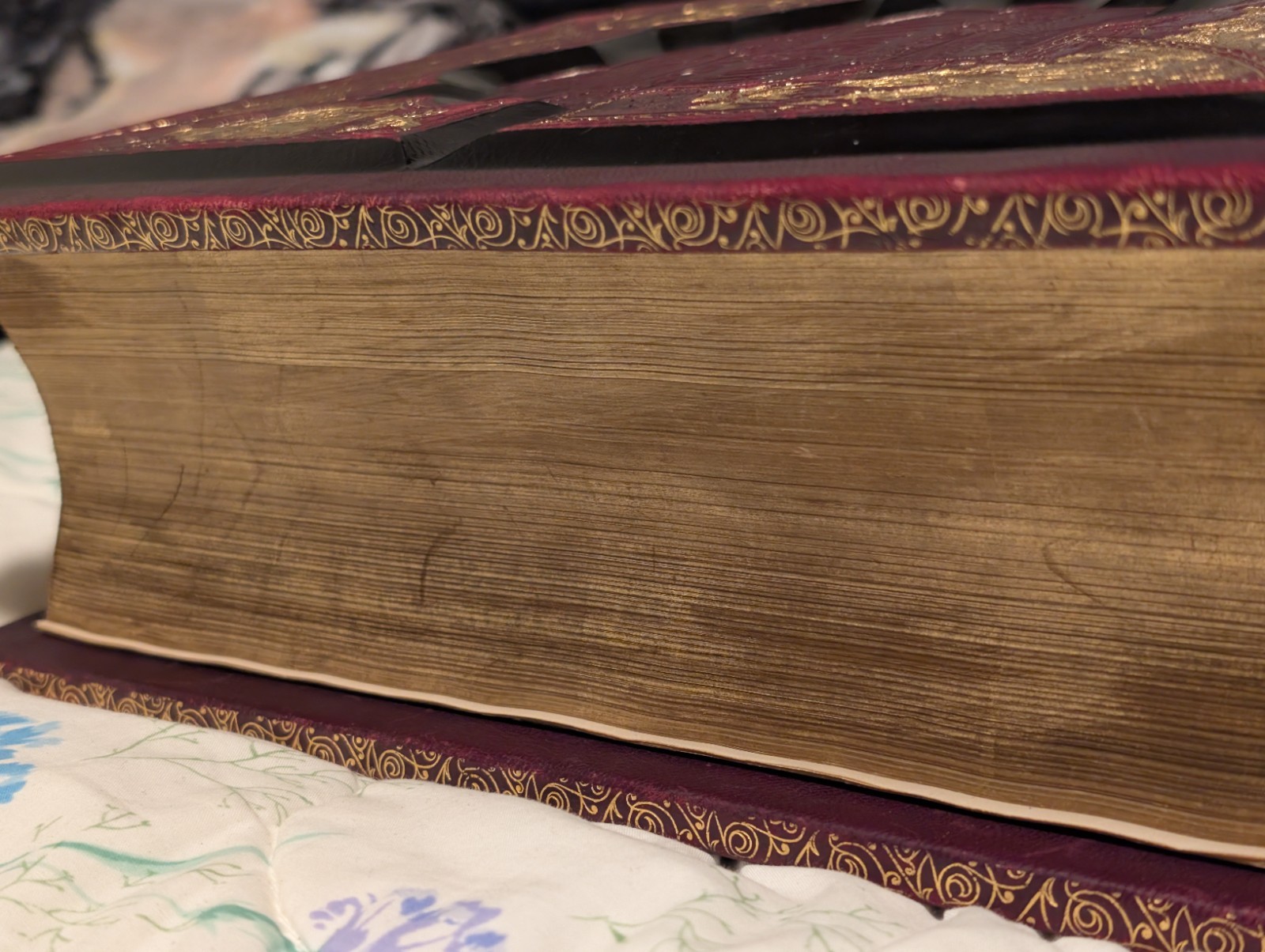 Rare Swedish Illustrated Bible–Den Heliga Skrift, 1880s H. M. Melin/Gustave Doré