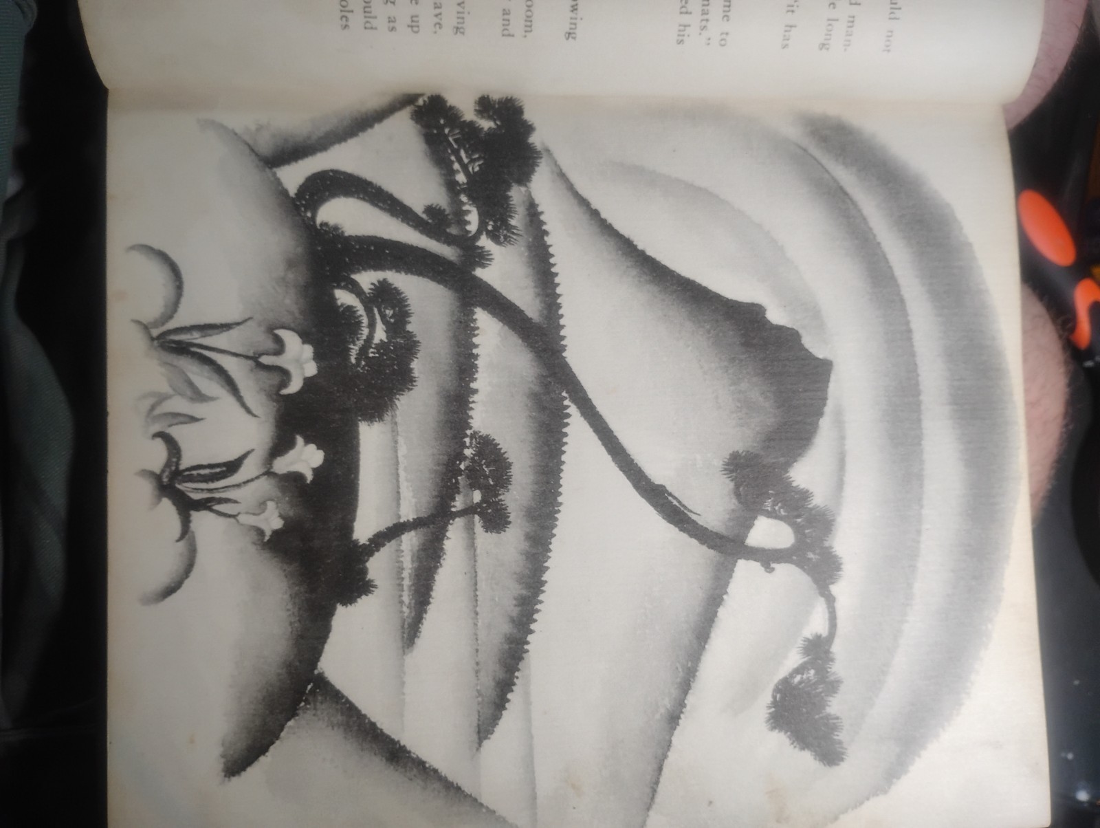 Elizabeth Coatsworth The Cat Who Went to Heaven Illustrated Ex-Library HC 1930