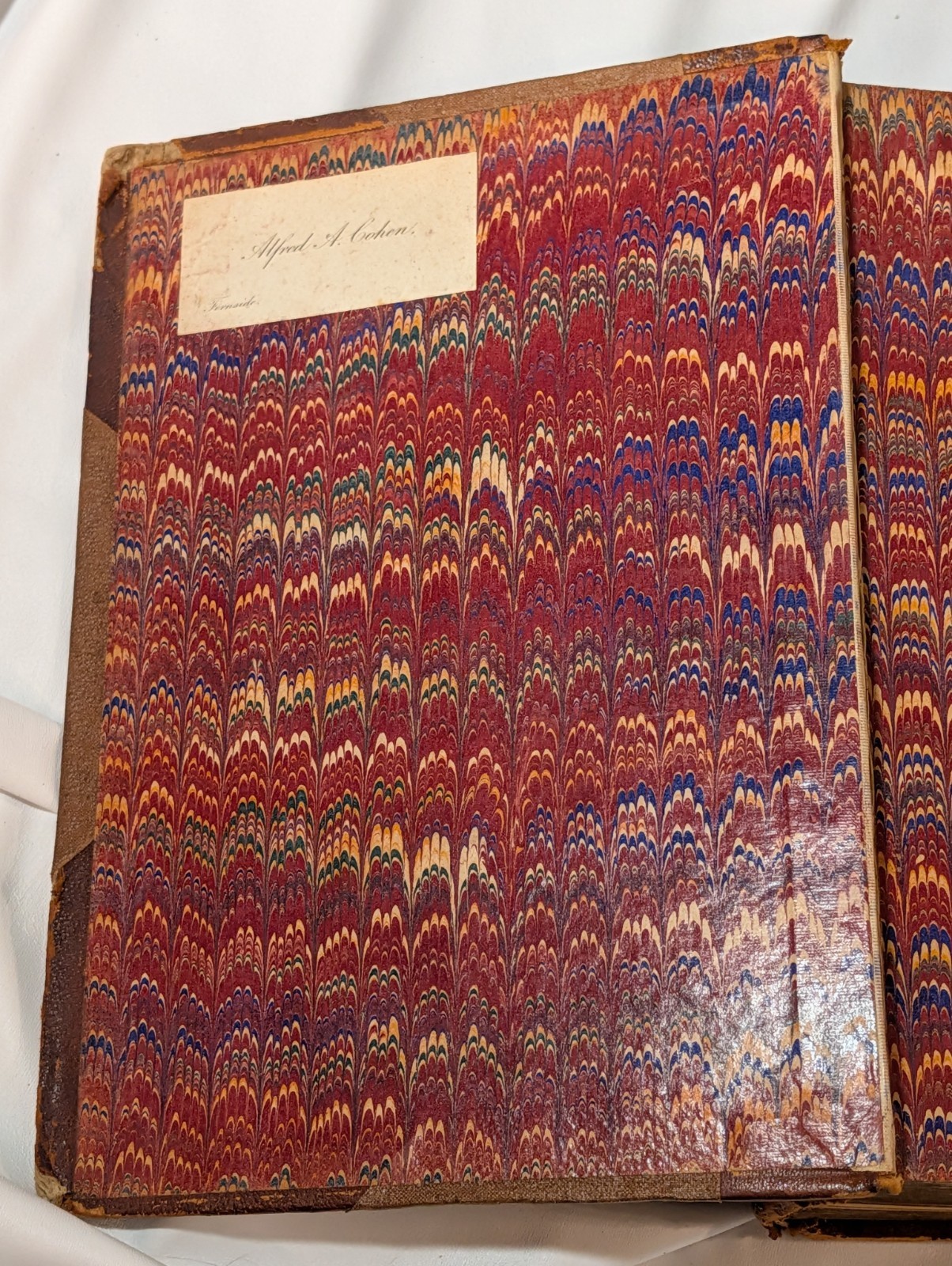 Antique Native Flowers and Ferns by Thomas Meehan 1878 Vol 1, Chromolithographs