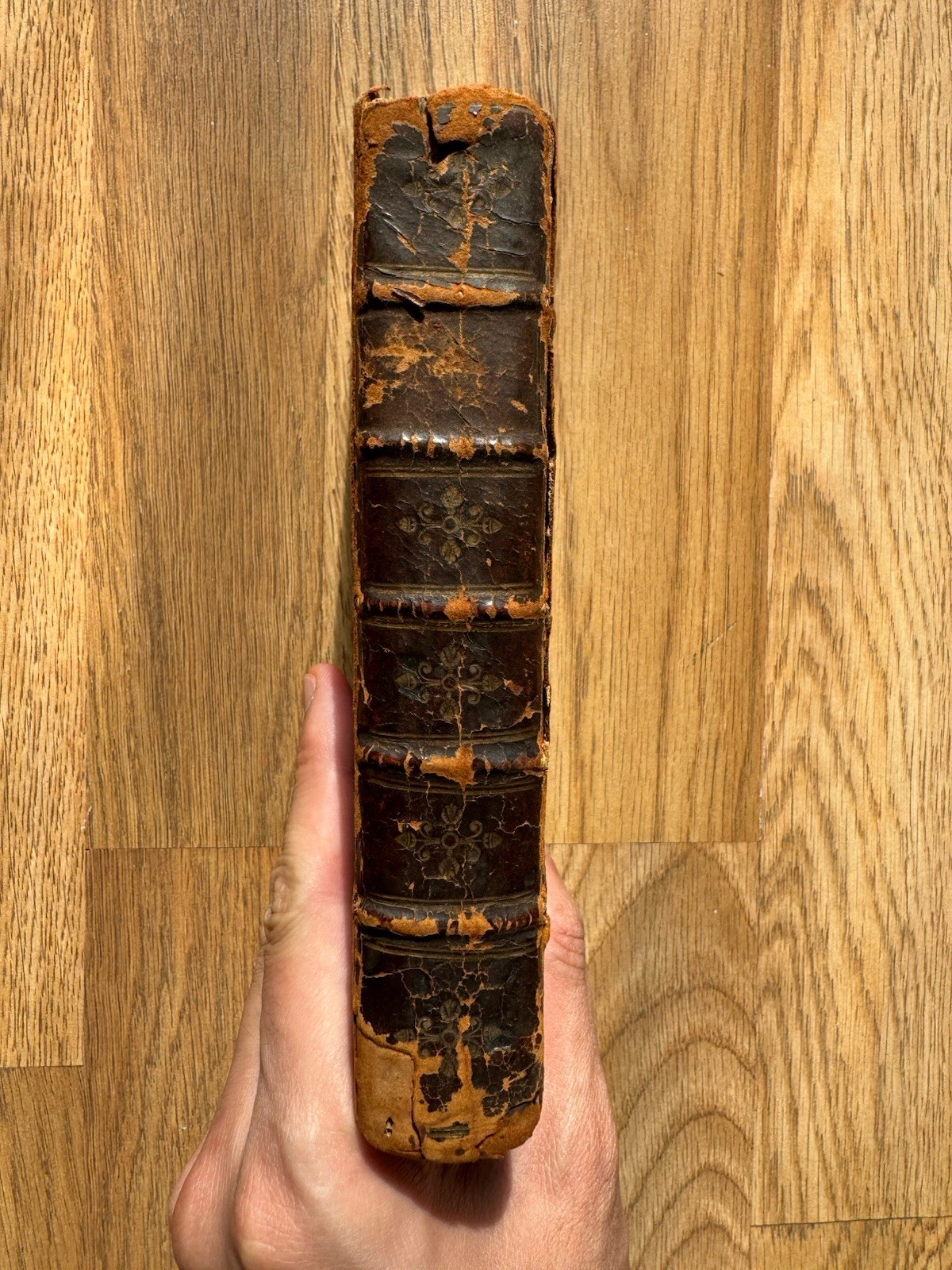 Rare Book Americana – Justinus Historiarum Variorum 1659 (((Famous Owner)))