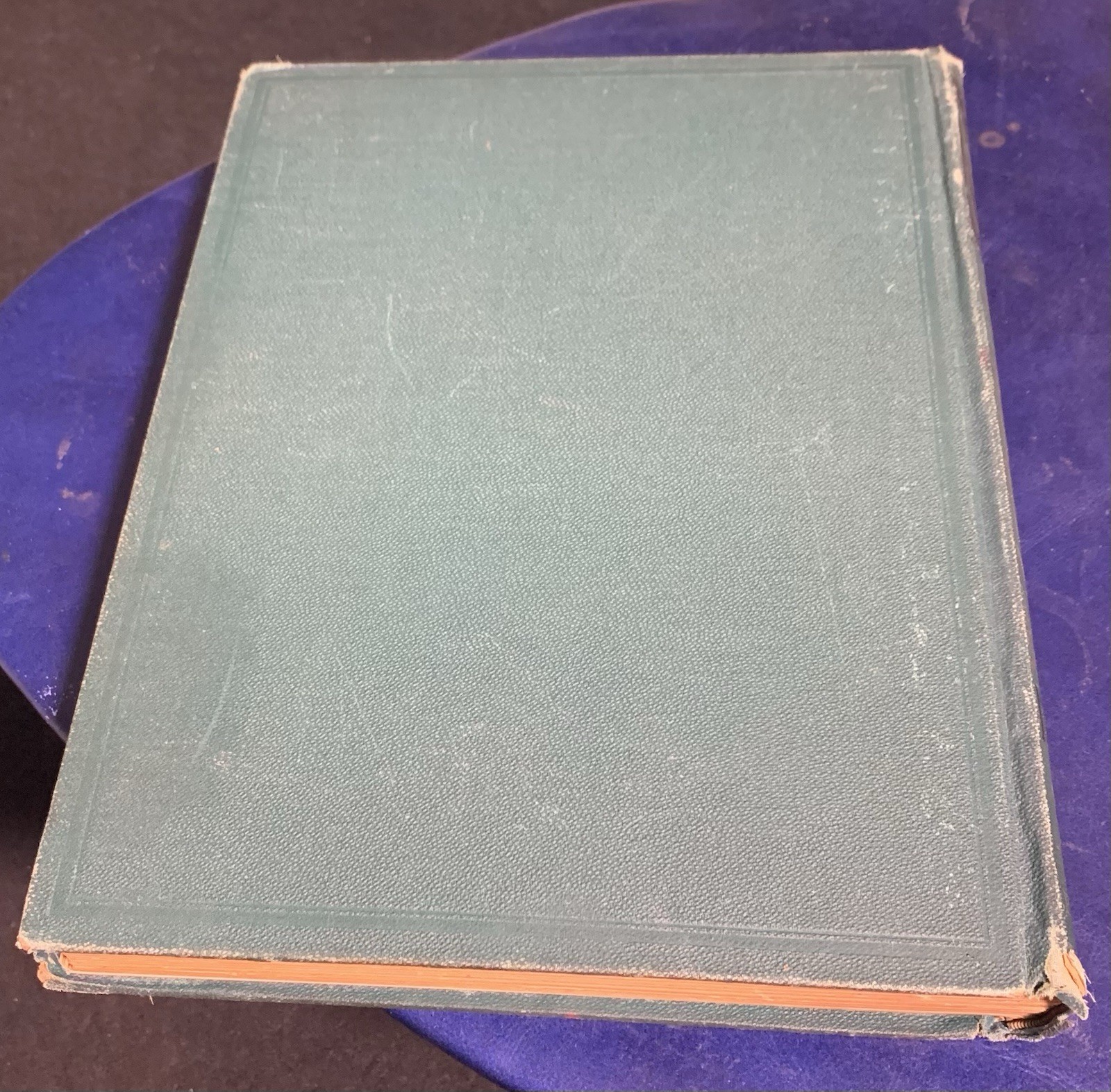 ANTIQUE 1886 John Milton’s Paradise Lost Illustrated by Gustave Dore RARE