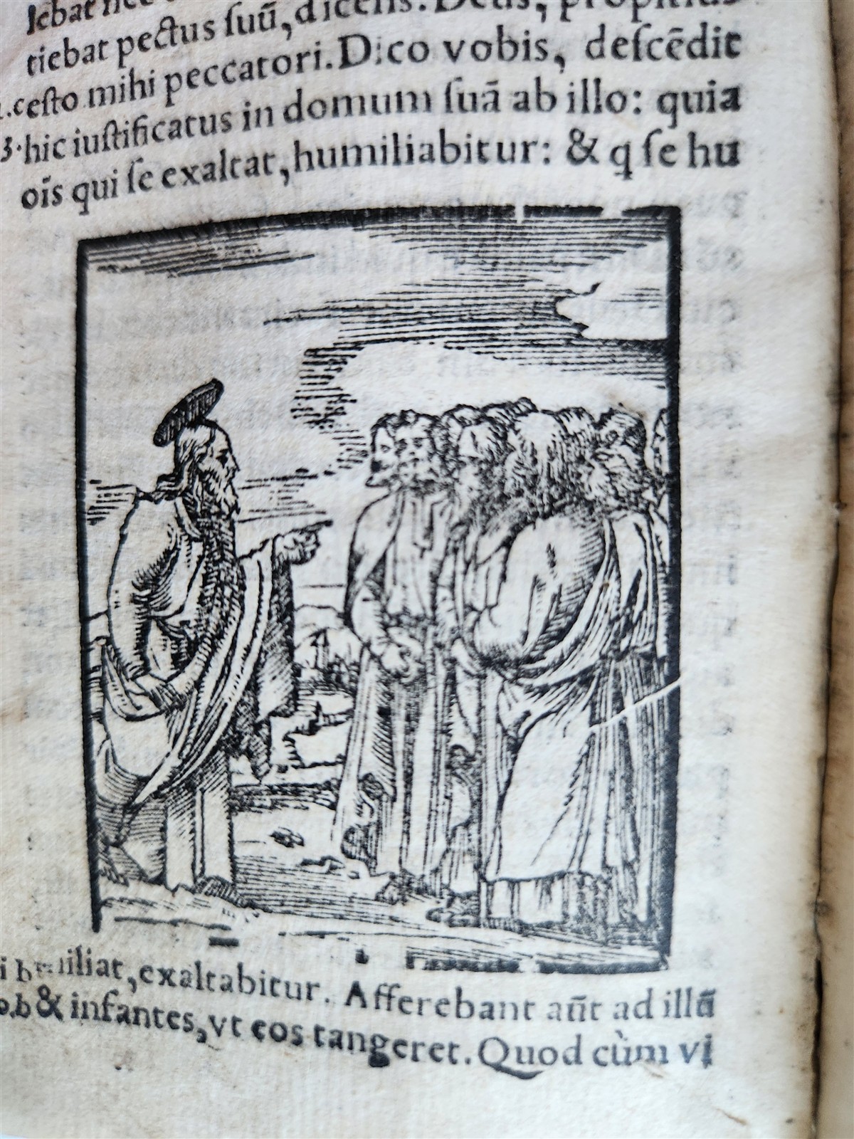 1548 BIBLE in LATIN ILLUSTRATED antique 16th CENTURY vellum TESTAMENTI NOUI