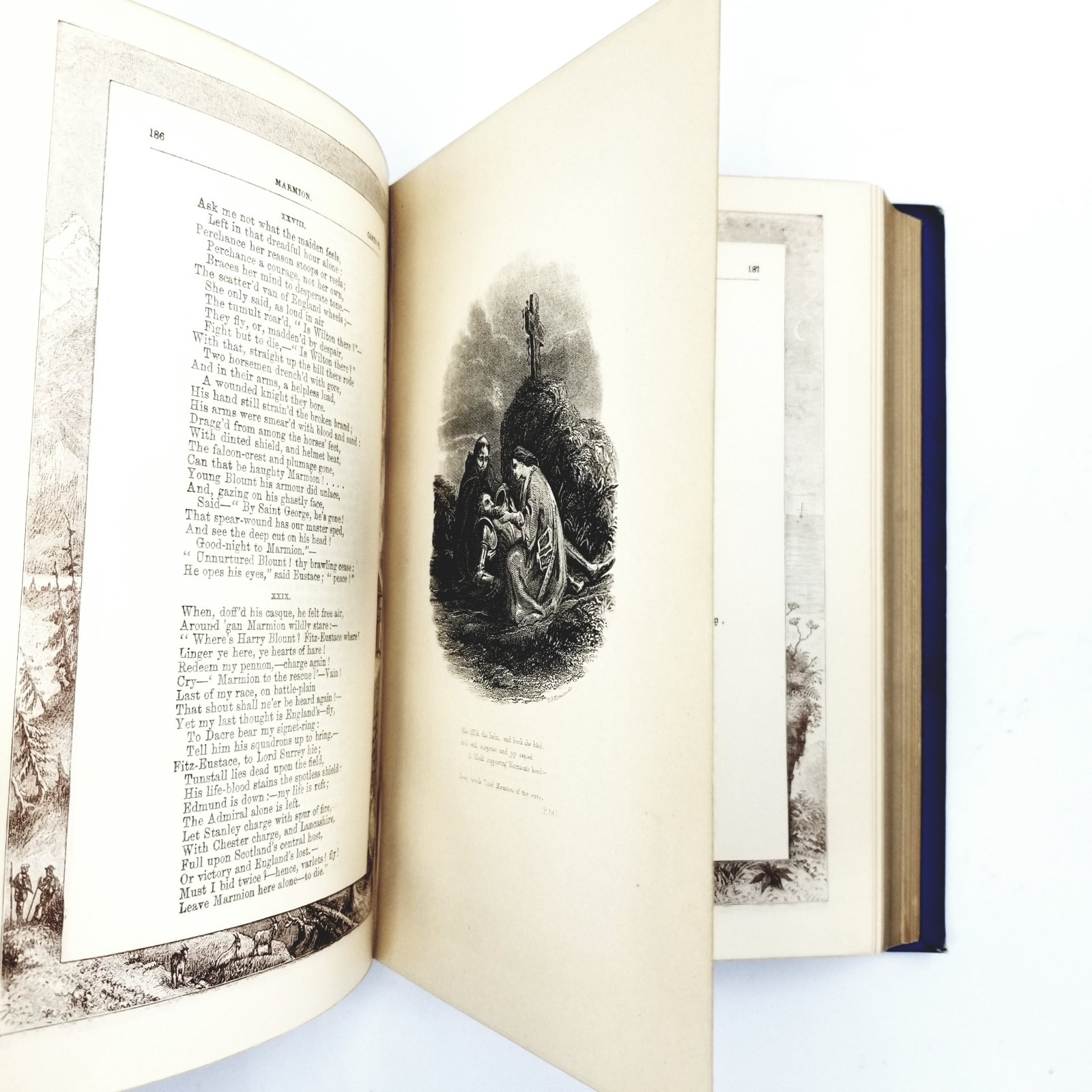 The Poetical Works of Sir Walter Scott With Life – 1880s Edition