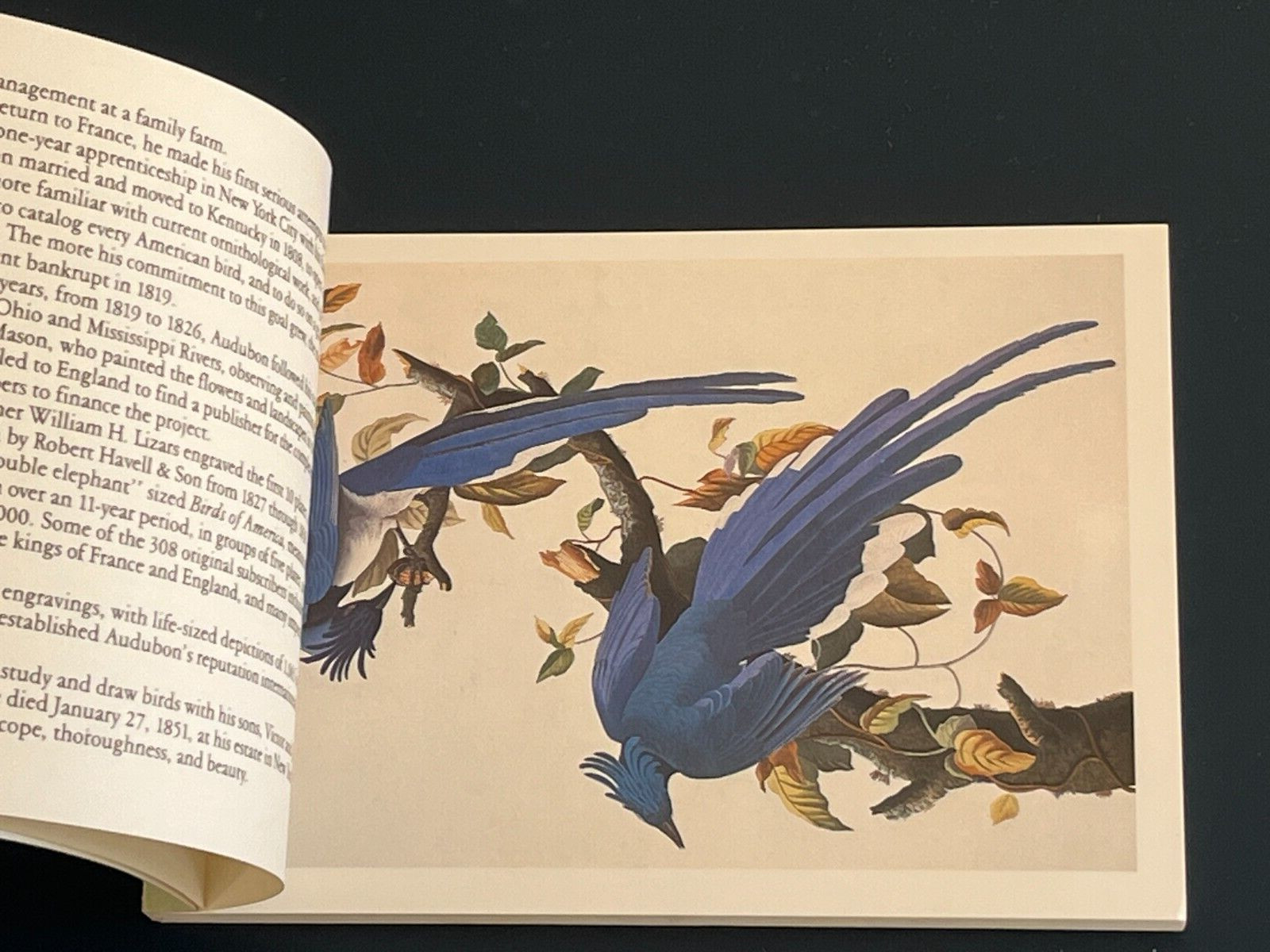 THE AUDUBON POSTCARD FOLIO 30 PHOTOGRAPHS RUNNING PRESS “NEW” FROM 1986 EX COND