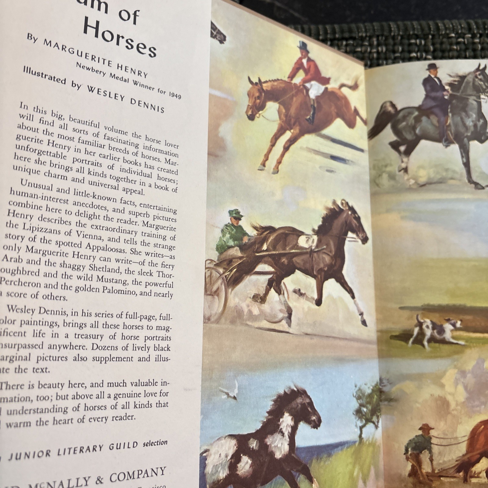SIGNED Marguerite Henry “Album of Horses” – 1961, Hardcover, Illustrated