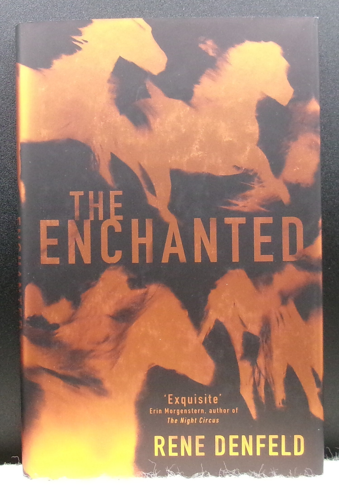 Rene Denfeld ENCHANTED First edition SIGNED Limited Magic Realism British HC DJ