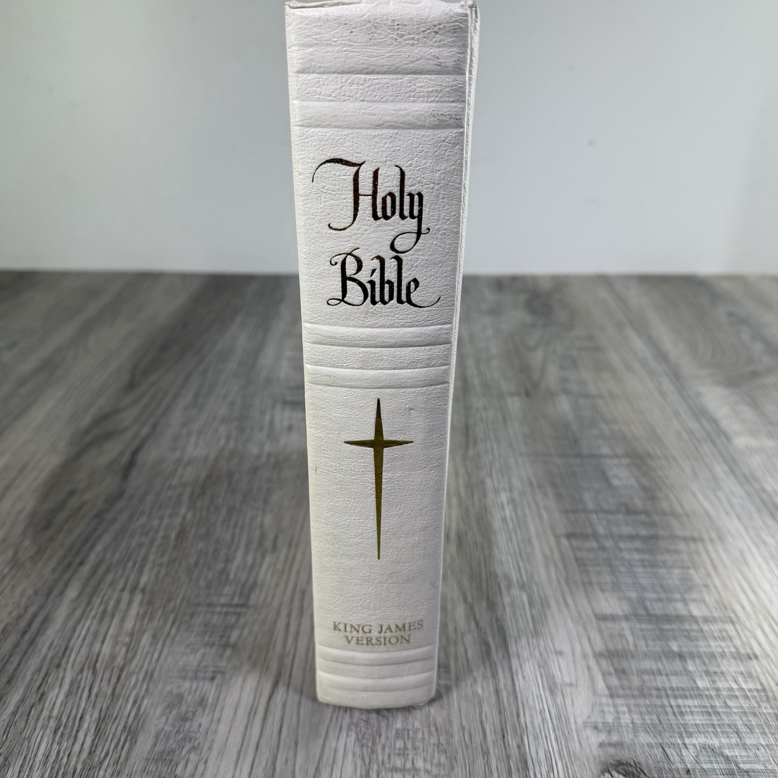Vintage King James Family Holy BIBLE 1963 W/ Color Illustrations White Large