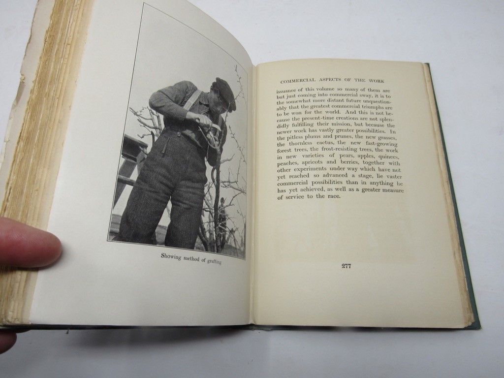 New Creation in Plant Life 1905 Luther Burbank Life & Works Botany Hoticulture