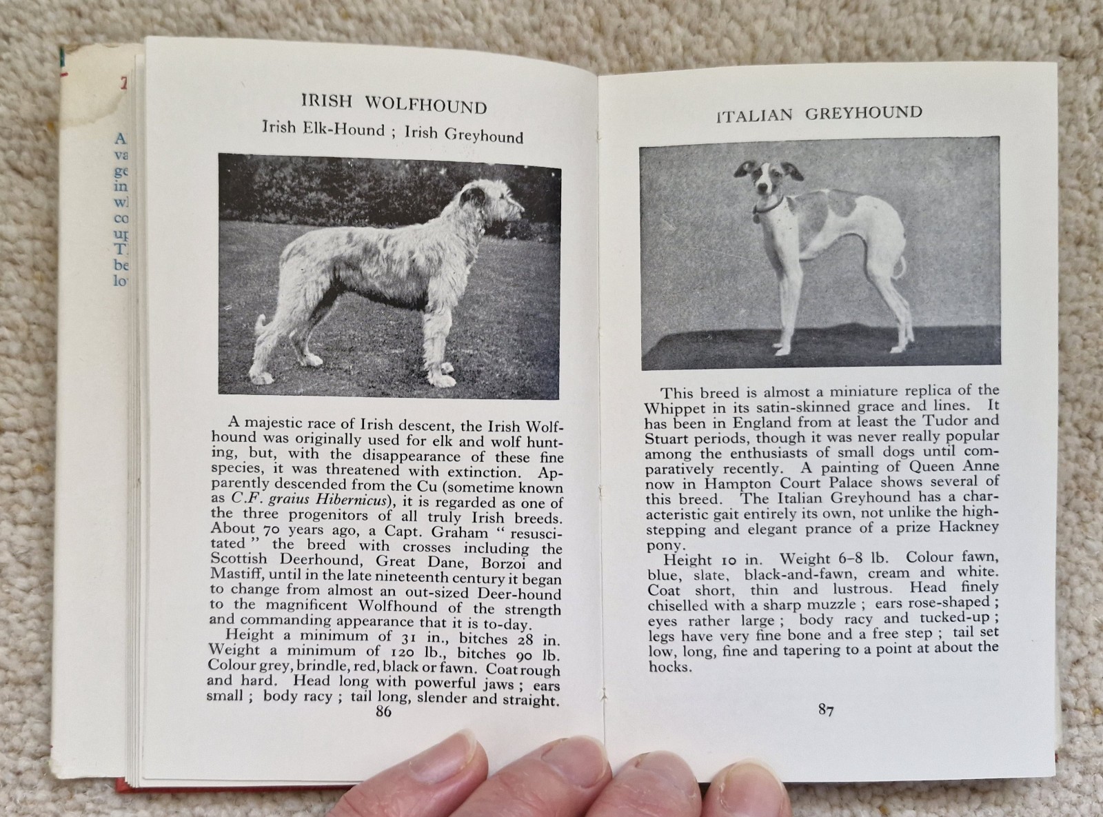 The Observer’s Book Of Dogs by Clifford L. B. Hubbard, 1949, Frederick Warne