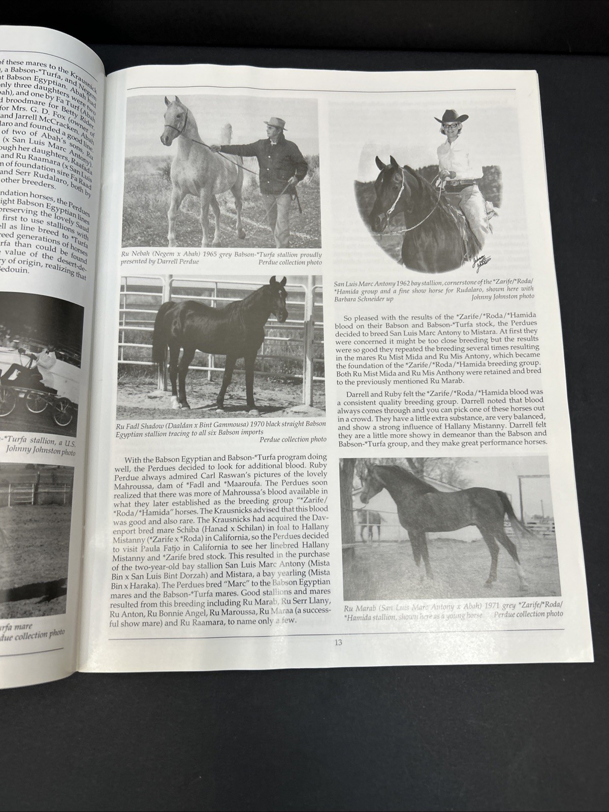 The Khamsat Bedouin Arabian Horse Magazine Spring 2001