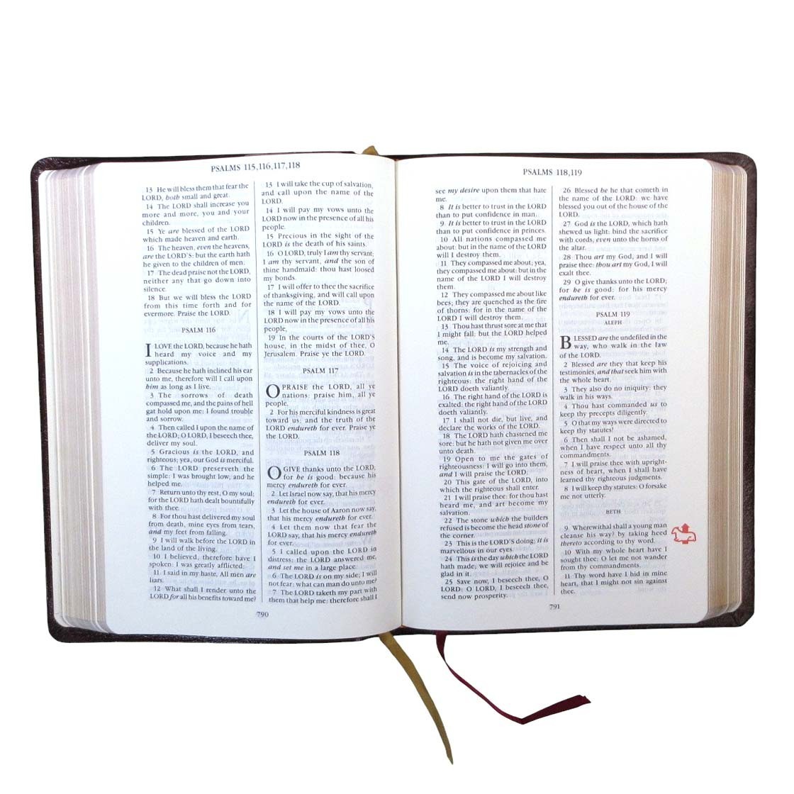 God’s Victorious Army Bible Spiritual Warfare Reference Edition II Leather KJV