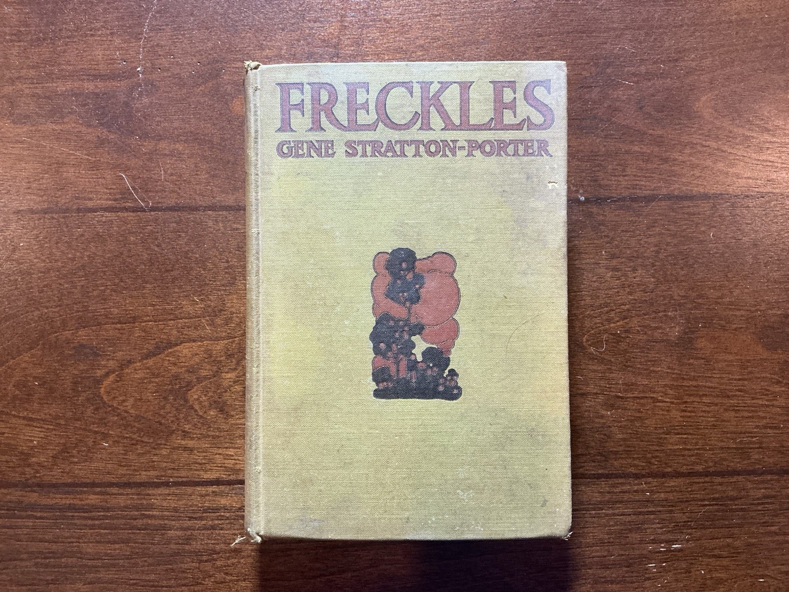 Freckles Gene Stratton Porter 1904 Vintage Antique 1st Edition for Young Adults