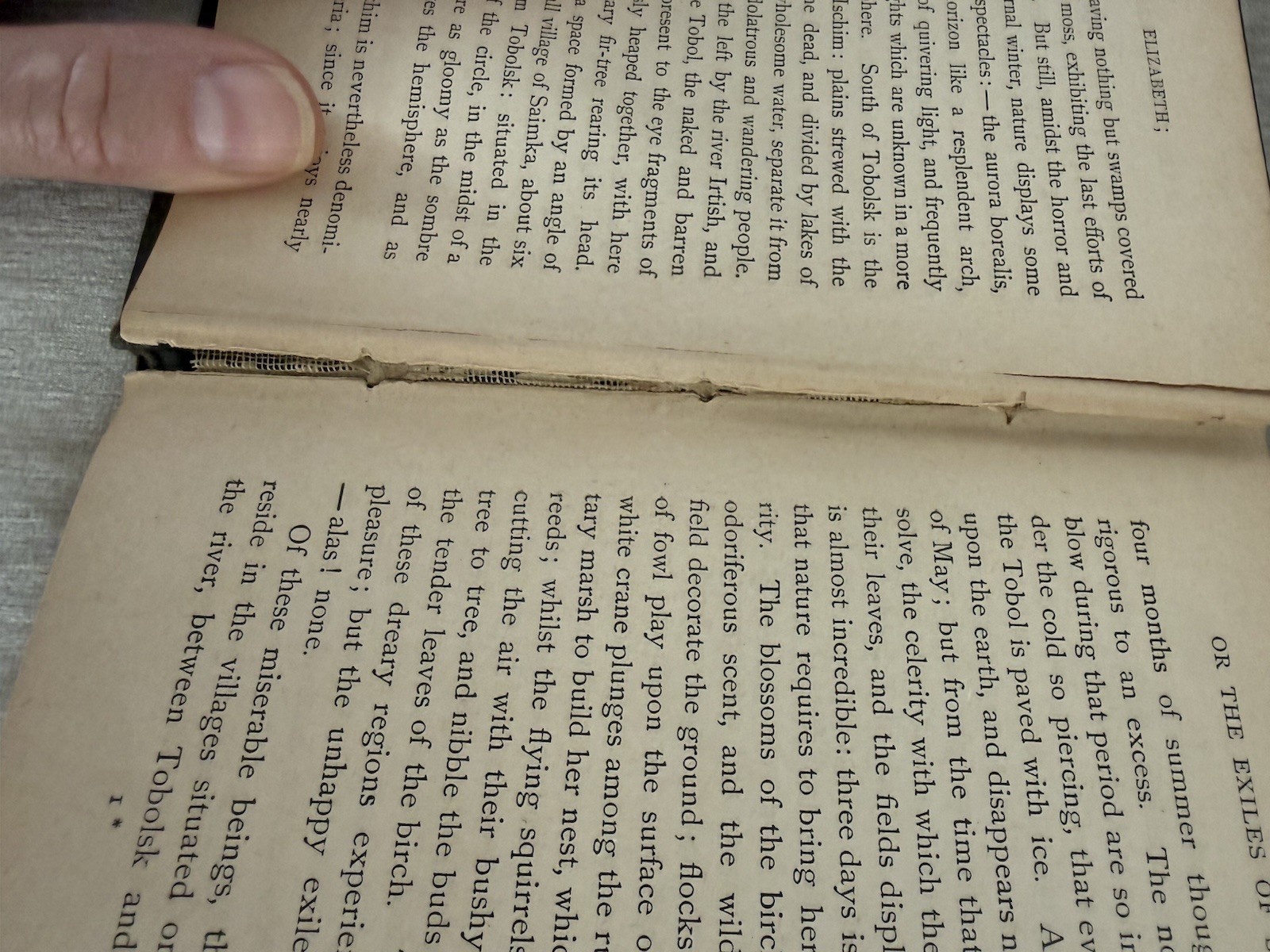 Elizabeth Exiles of Siberia Cottin Antique 1885 gilt victorian decor book