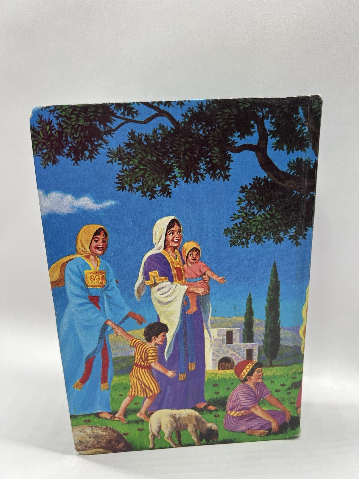 Holy Bible Kings James Version Illustrated