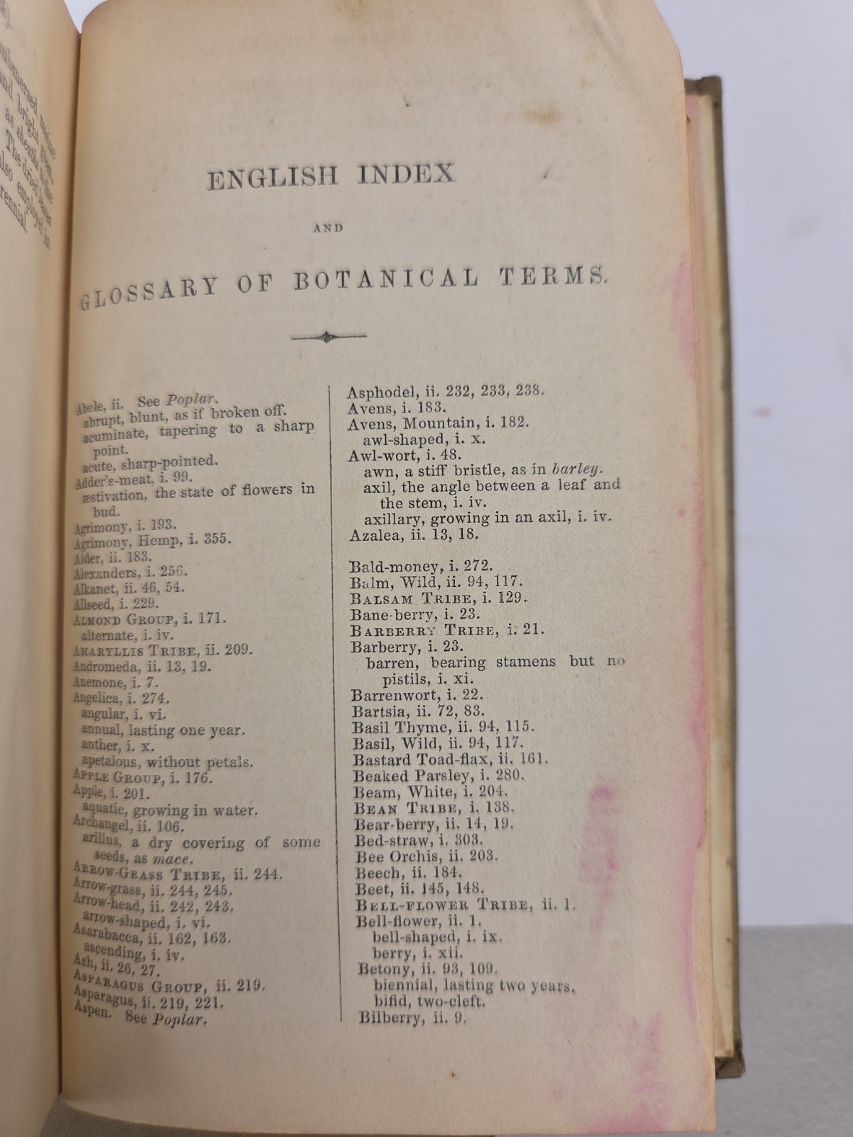 Flowers of the Field by Rev C. A. Johns, Revised by G.S. Boulger, Vol I & II