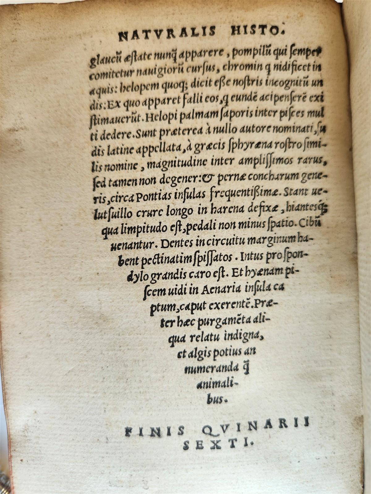 1565 PLINIUS encyclopaedia of natural history 5 VELLUM BOUND VOLUMES 16c ANTIQUE