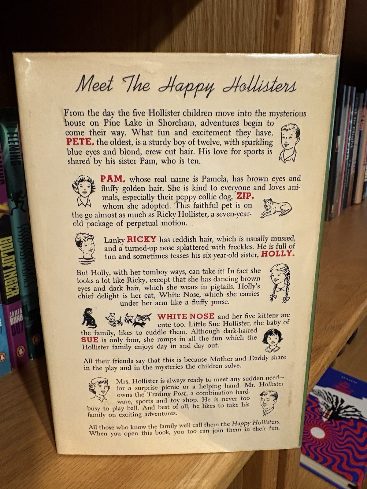 The Happy Hollisters Hardcover With Dustjacket Jerry West Doubleday