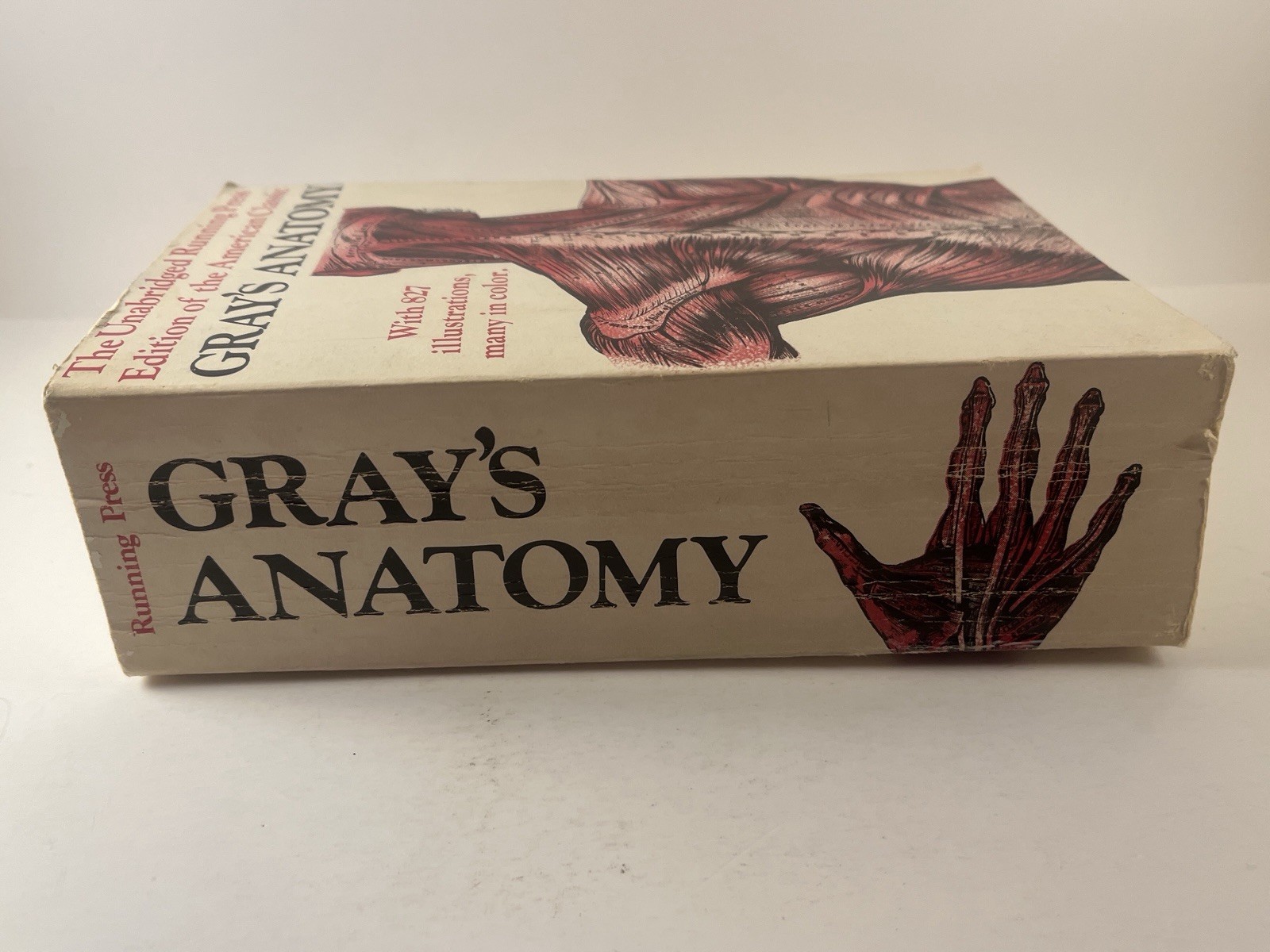 Gray’s Anatomy Running Press 1901 Unabridged Edition 1974 Paperback 827 Illus