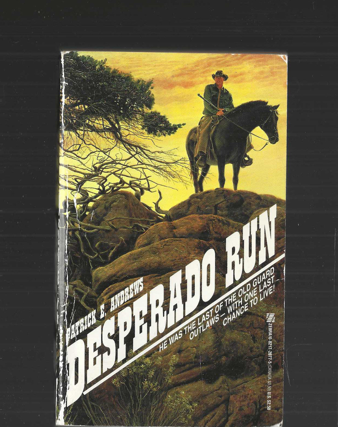 Patrick E Andrews vintage Desperado Run novel 1987 PB Pulp Westerns cowboys VG
