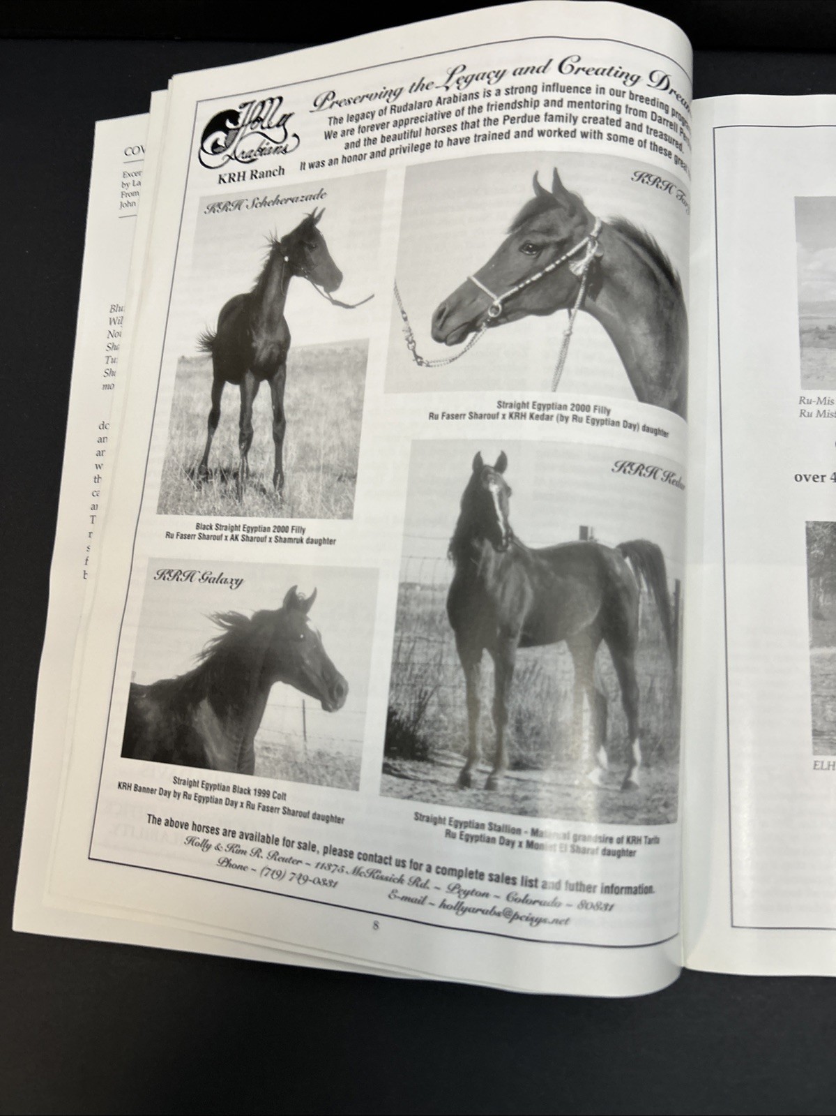 The Khamsat Bedouin Arabian Horse Magazine Spring 2001