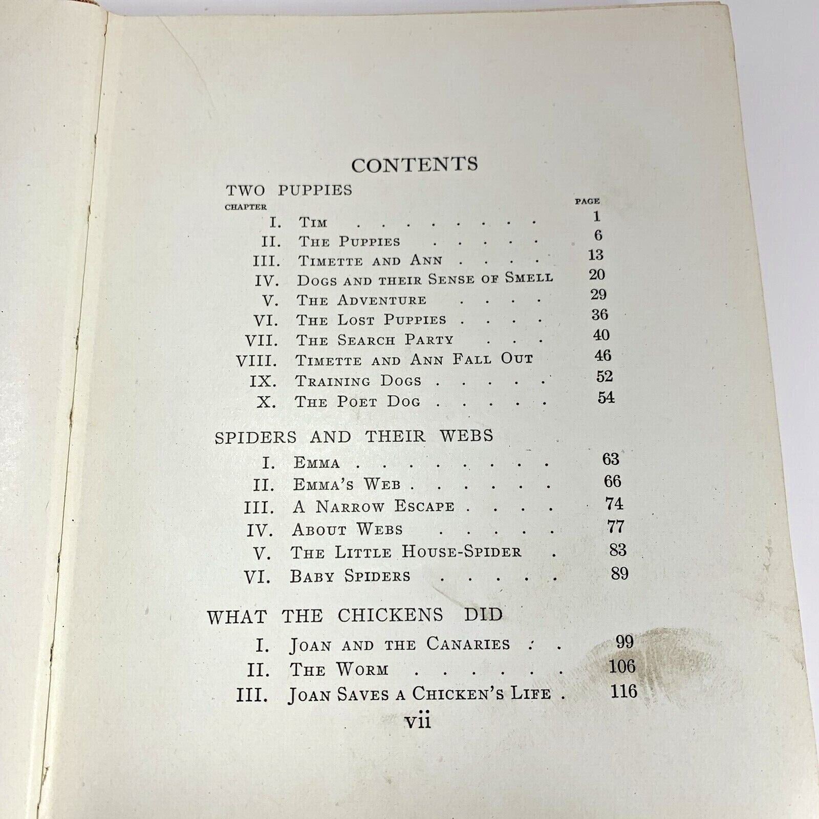 Puppies and Kittens Book Carine Cadby 1920 Illustrated with Early Photographs
