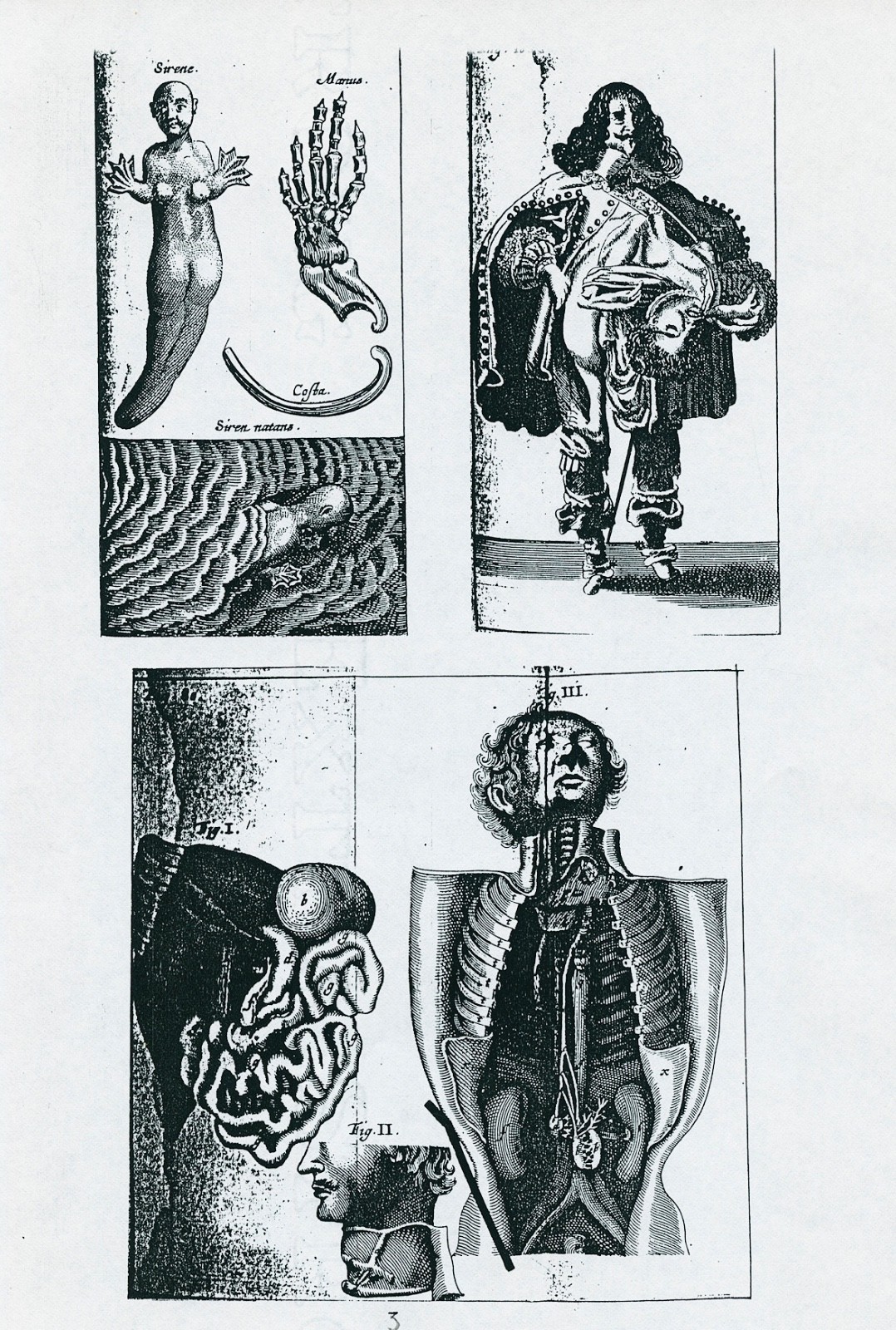 Paris Book Seller’s Catalog 1995 MONSTERS & The DEFORMED Teratology Real Surreal