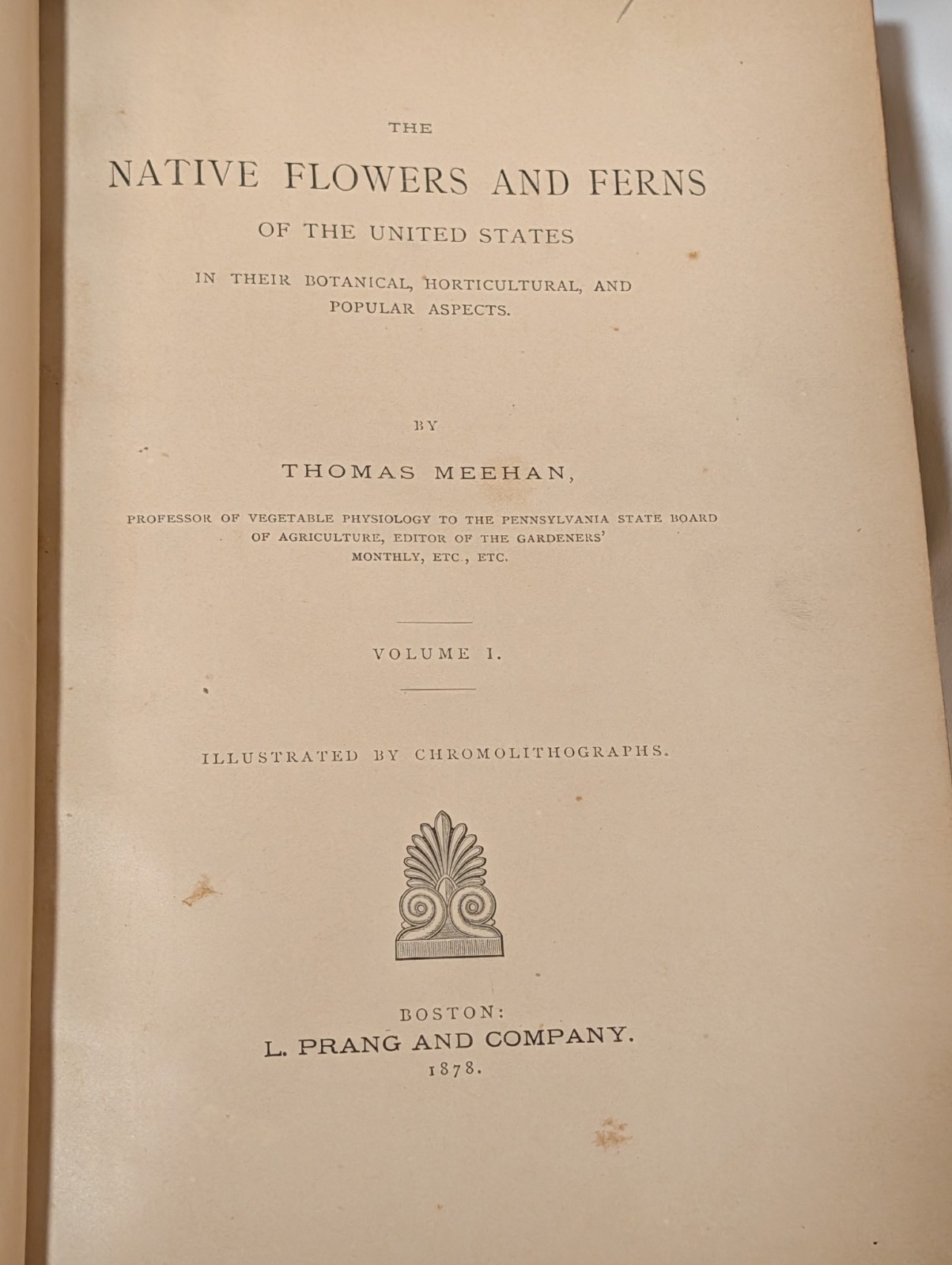 Antique Native Flowers and Ferns by Thomas Meehan 1878 Vol 1, Chromolithographs