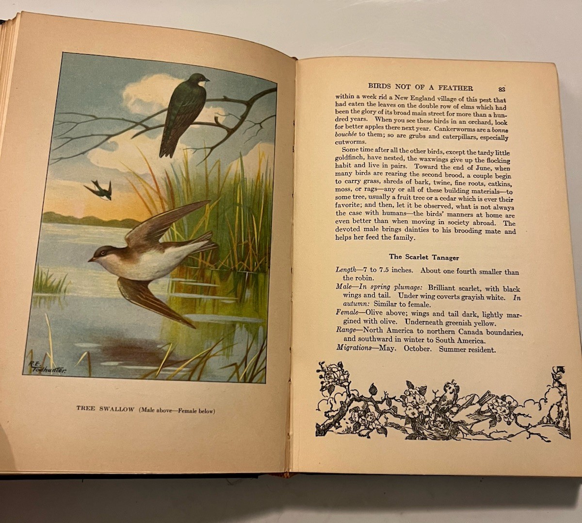 The Nature Library Birds 1927 Vtg HC Neltje Blanchan 48 Illustrations Full Color