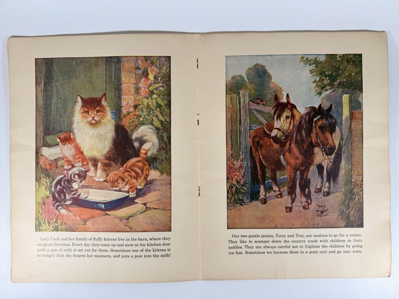1939 Farmyard Folk Whitman Publishing Children’s Linen Book Animal Stories