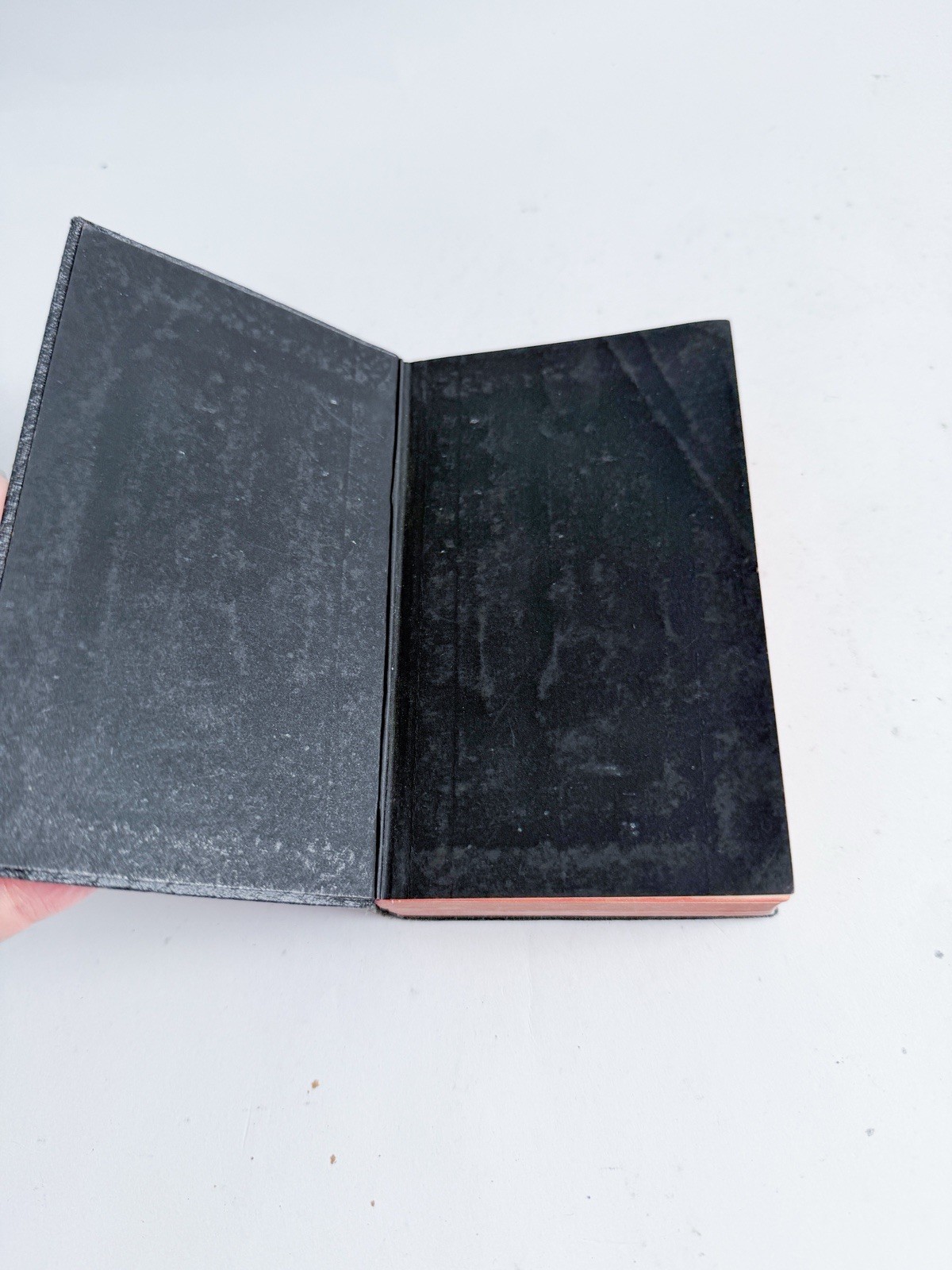 The Young Man’s Guide Lasance 1910 Catholic Devotional Book