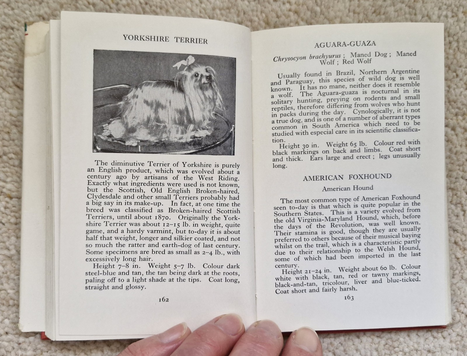 The Observer’s Book Of Dogs by Clifford L. B. Hubbard, 1949, Frederick Warne