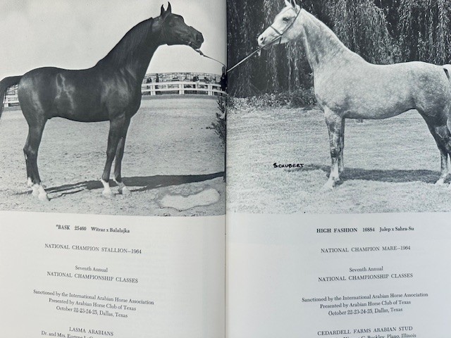 Arabian Horse Yearbook 1964 IAHA Vol Xll Arabian Horse Books / Memorabilia