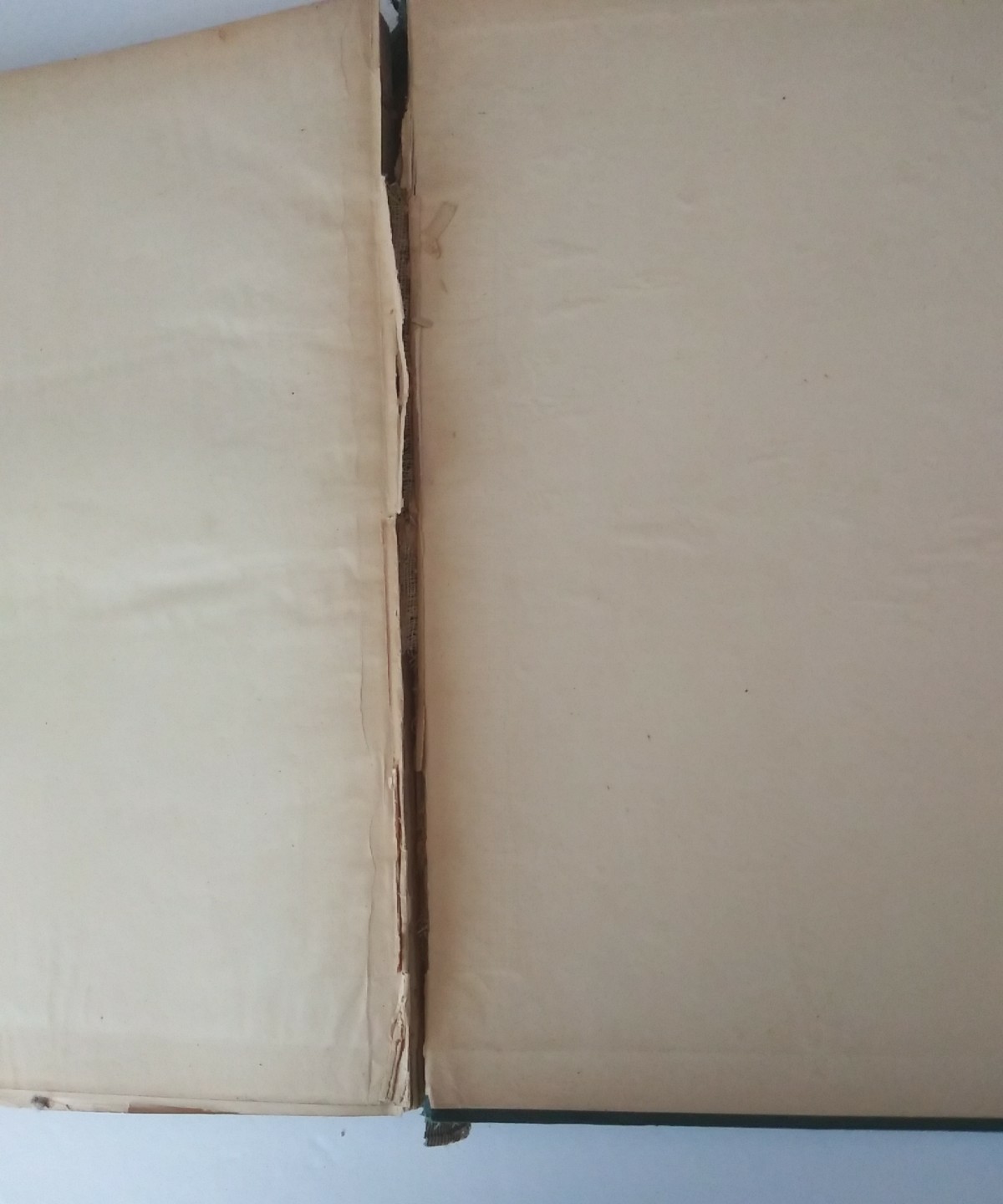 Antique John Milton’s Paradise Lost Illustrated By Gustave Dore Dated 1885