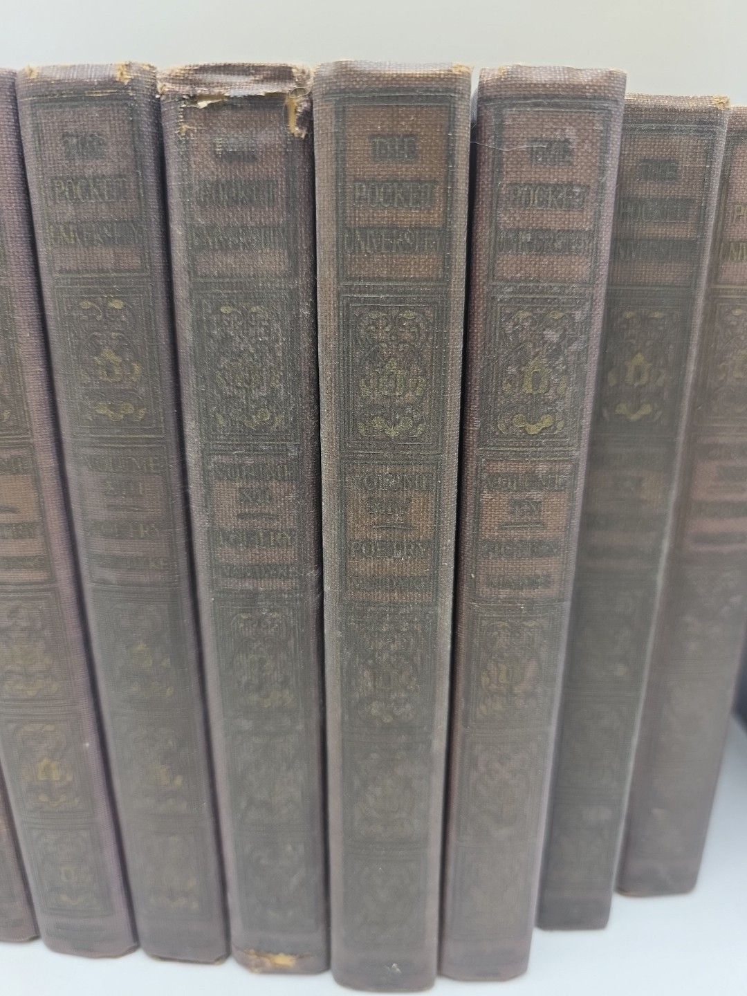 1924 Books The Pocket University Doubleday 17 Volumes