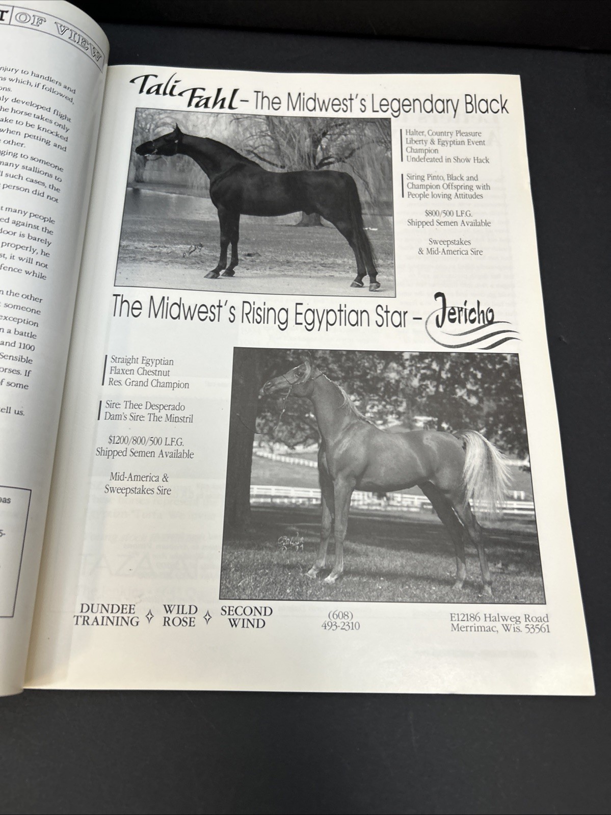 Arabian Visions Magazine Horse March – April 1996 Vintage