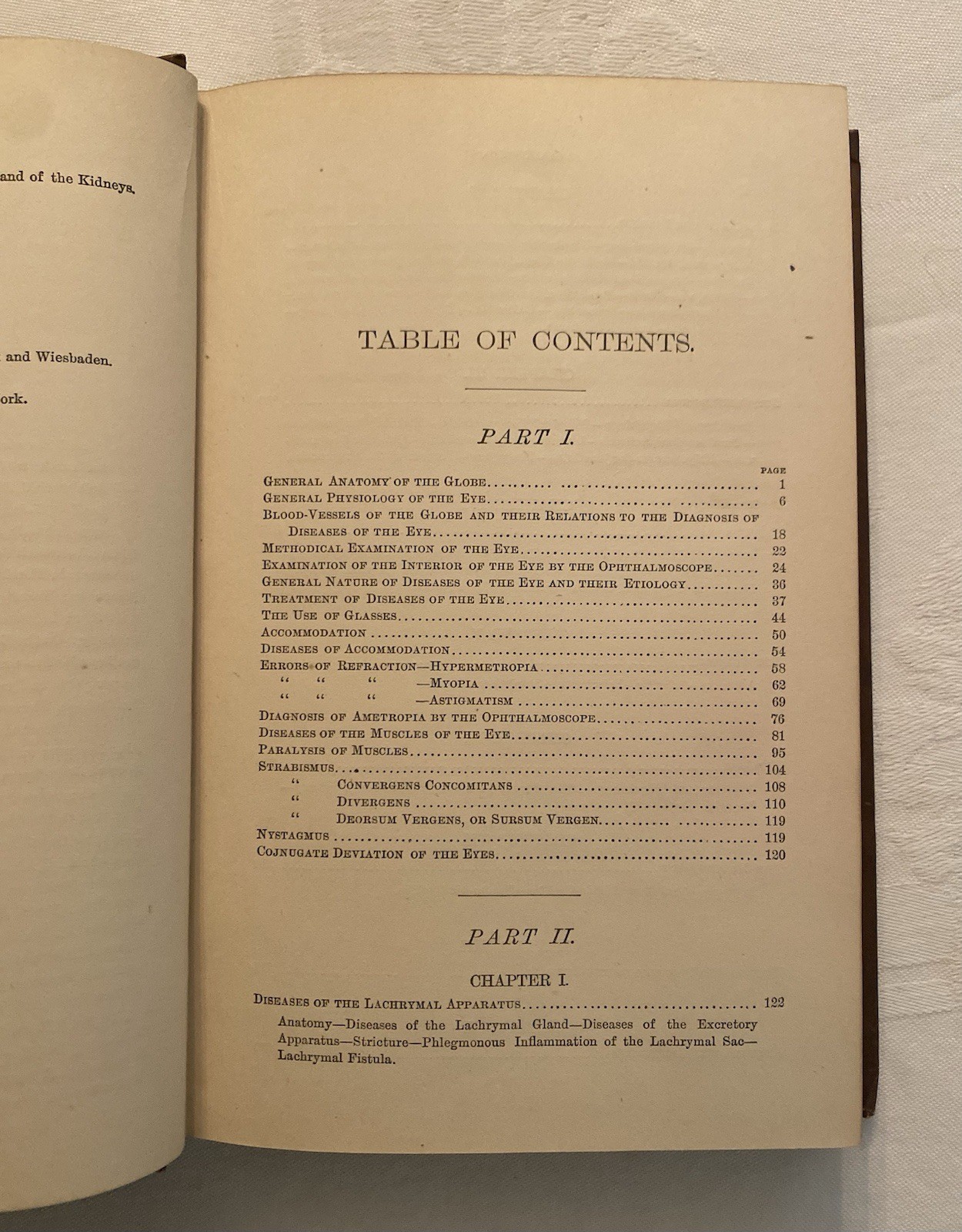 Wood’s Library Of Standard Medical Authors 1881 Diseases Of The Eye 360 Pages