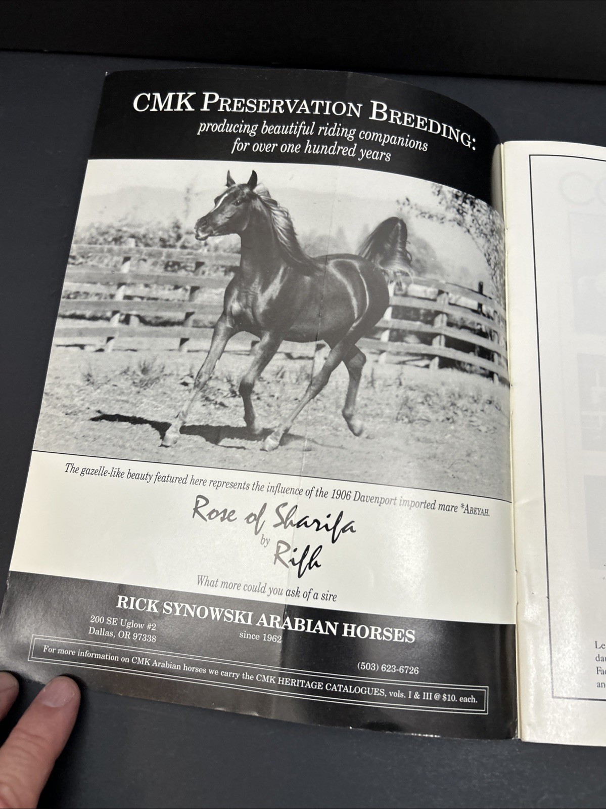 Arabian Visions Magazine Horse March – April 1998 Vintage