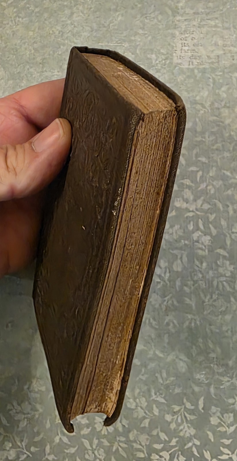 1853 New Testament Small Bible American Bible Society, Antique, Rare. 4.5″